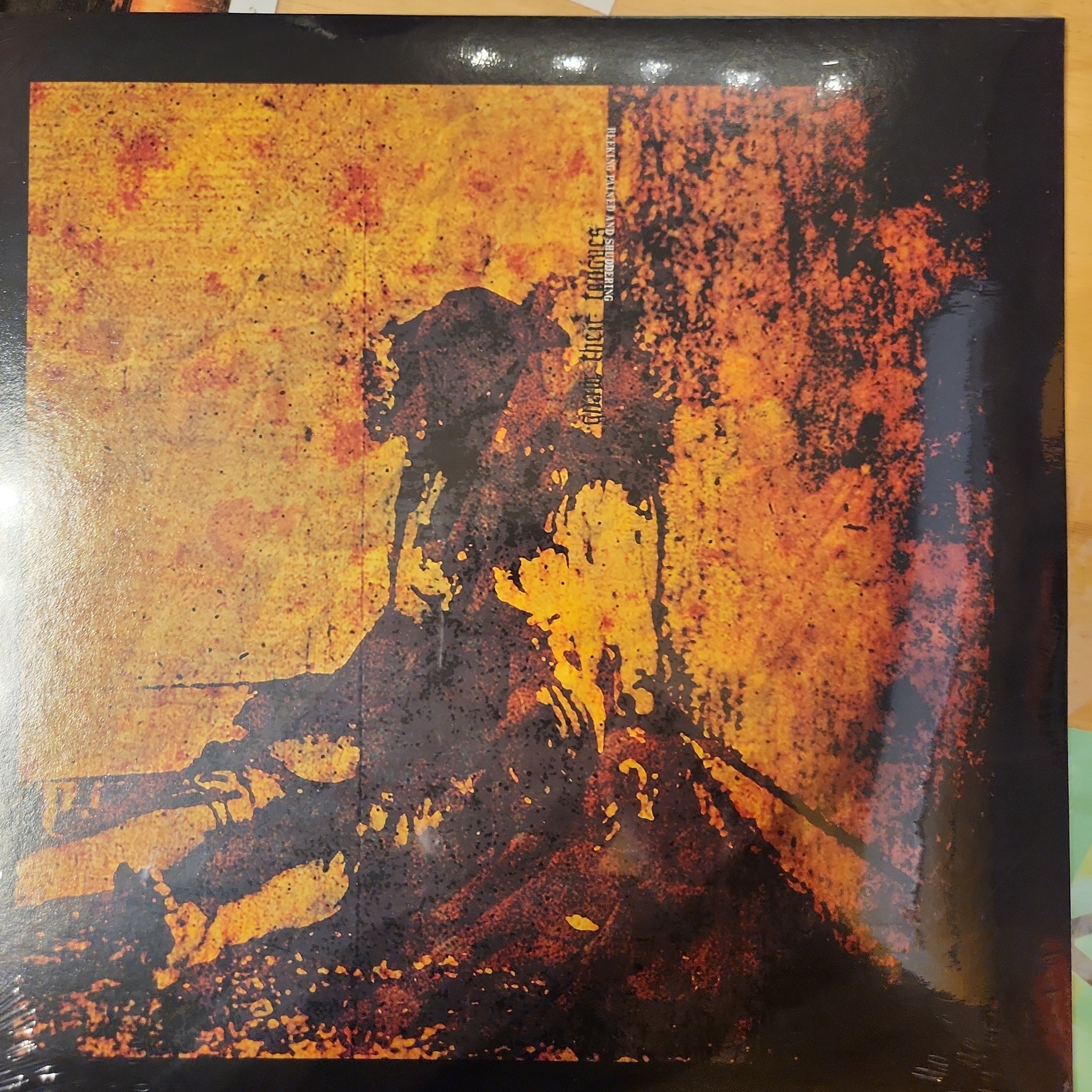 Gnaw Their Tongues - Reeking, Pained and Shuddering Limited Edition Vinyl LP | Extreme Experimental Black Metal Music Record | Perfect for Dark Music Collectors & Avant-Garde Metal Enthusiasts