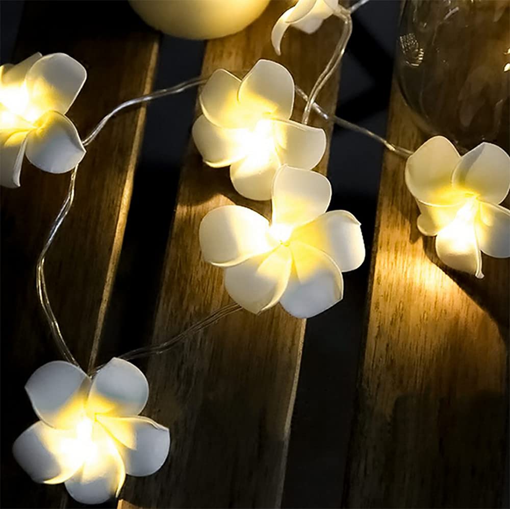20 LED Artificial Frangipani String Lights - USB Powered Plumeria Flower Fairy Lights for Christmas, Party, Home, Wedding & Beach Decor (White, 1 Pack) | Indoor & Outdoor Decorative Lighting for Garden, Patio, Bedroom and Special Events