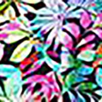 Hawaiian Tropical