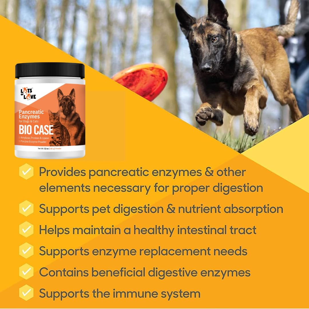 Bio Case Pancreatic Enzyme Powder for Dogs & Cats - 12 Oz Digestive Support Supplement | Formerly Thomas Labs BioCase | Supports Healthy Digestion for Pets with Pancreatic Issues