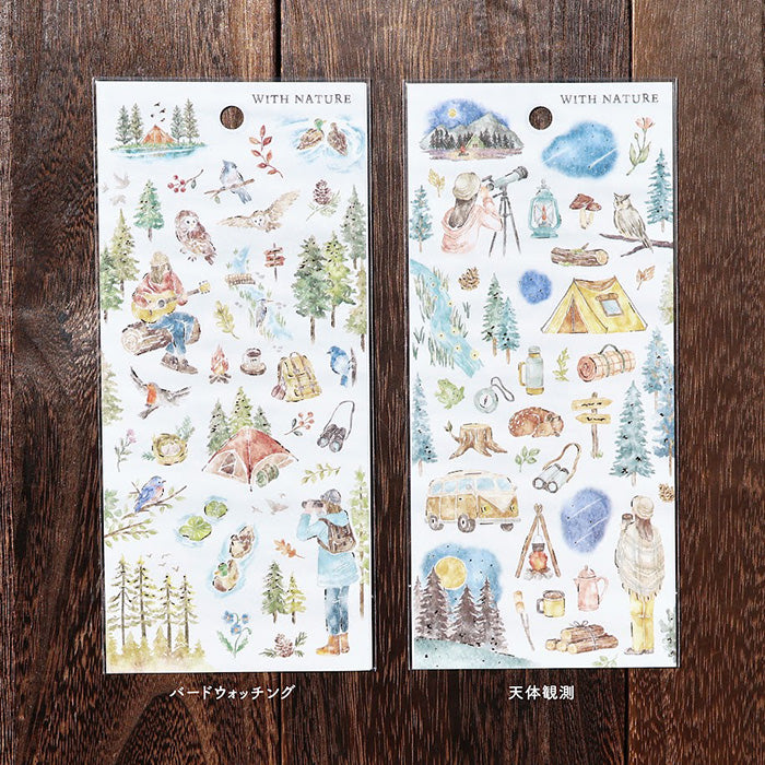 Astronomical Observation Sticker Set - Nature Inspired Star Chart Decals for Kids Room, Telescope & Science Classroom Decor