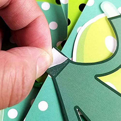 Alien Theme Birthday Party Decorations Kit - Alien Banner, UFO & Area 51 Inflatable Balloons for Kids & Adults - Outer Space Baby Shower & Birthday Party Supplies (Perfect for Sci-Fi Themed Parties, Space Adventures, and Extraterrestrial Celebrations)
