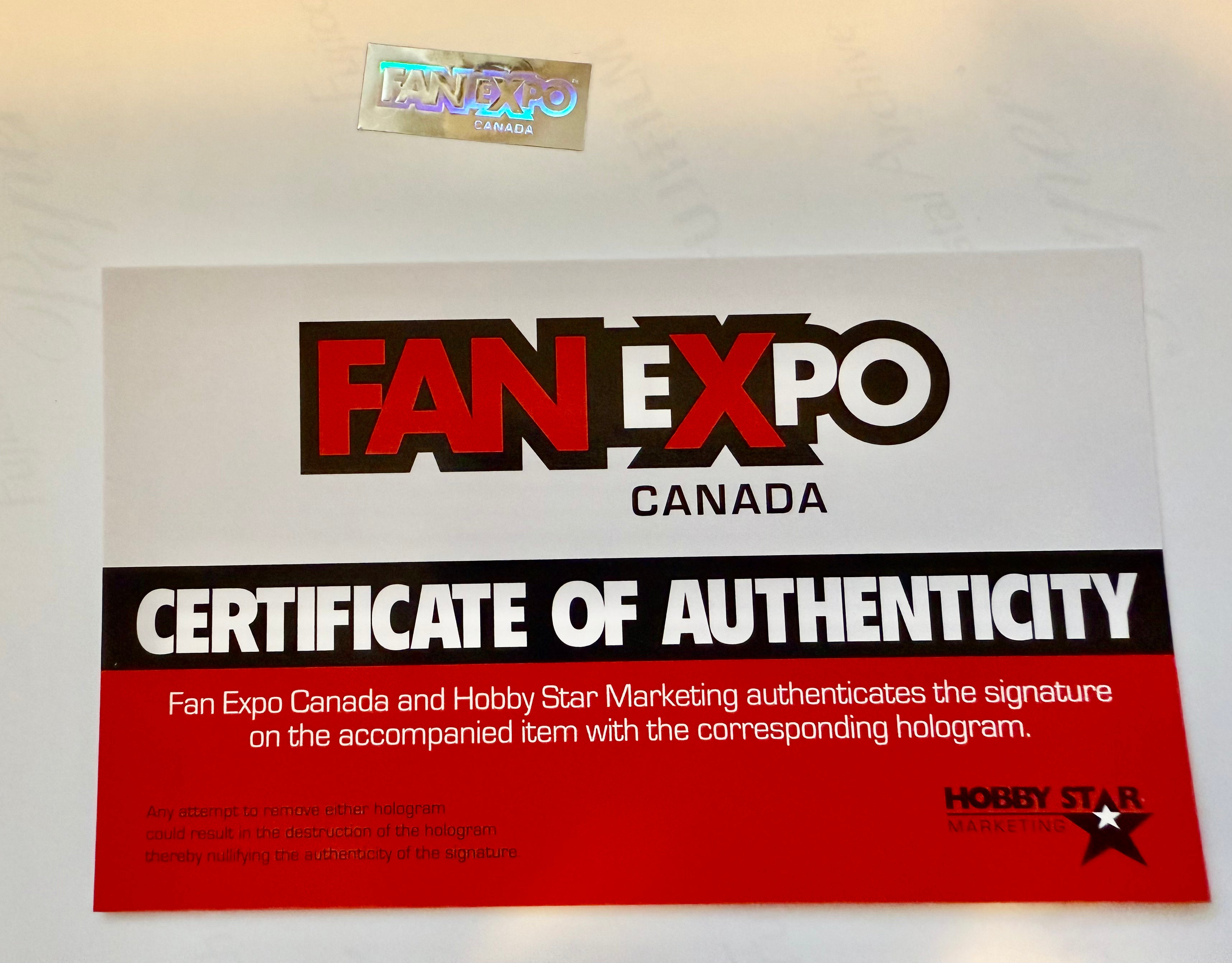 Stan Lee Signed Marvel Comics Autograph 8x10 Glossy Photo - Certified by Fanexpo - Collectible Memorabilia for Comic Book Fans & Superhero Enthusiasts