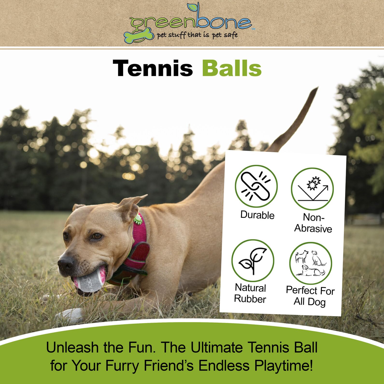 Wonderpet! Tennis Ball Dog Toys 4 Pack - Small Size Chew Toys for Puppies & Small Breeds - Perfect for Fetch, Training & Outdoor Play