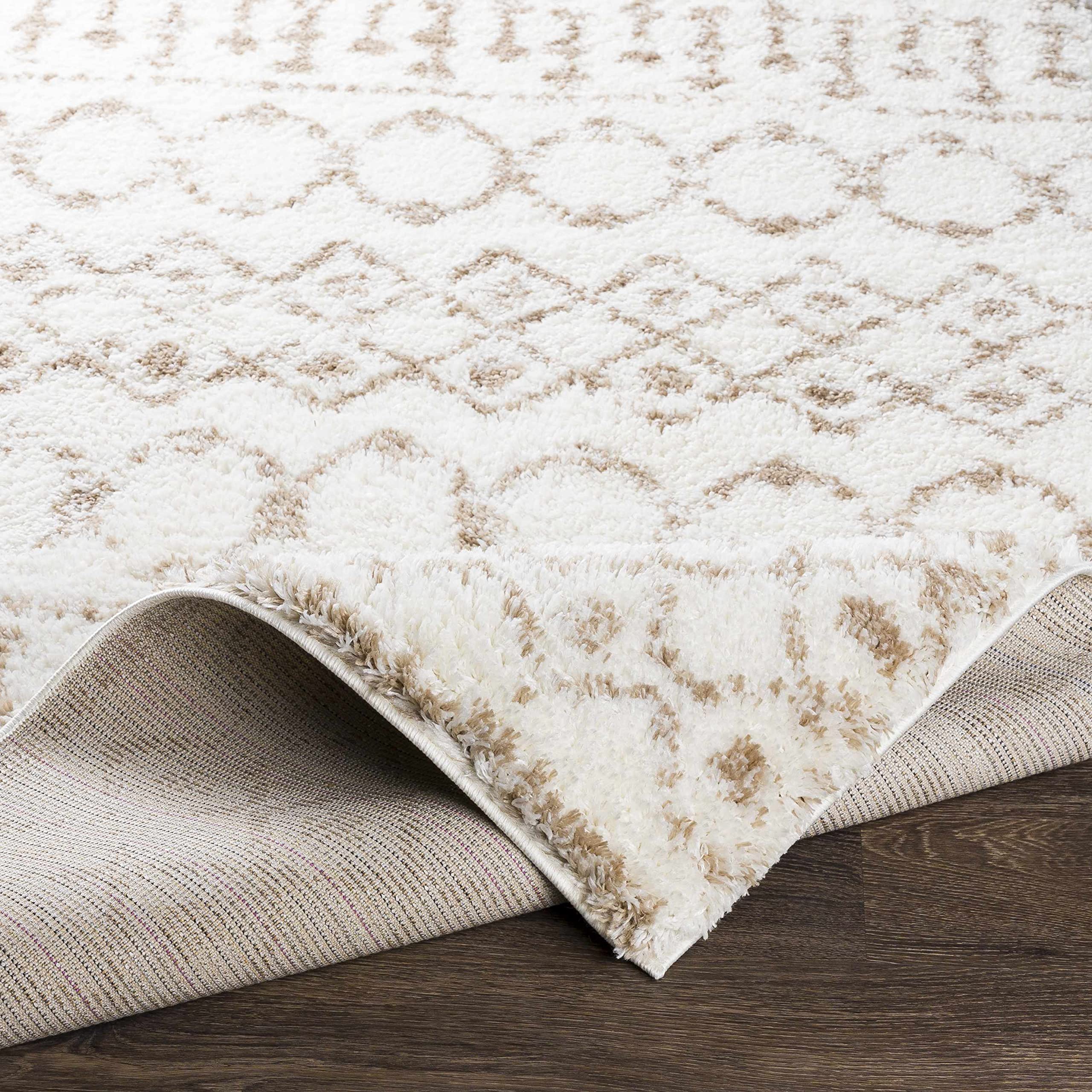 Luxury Hauteloom Collingwood Plush Area Rug 5'3