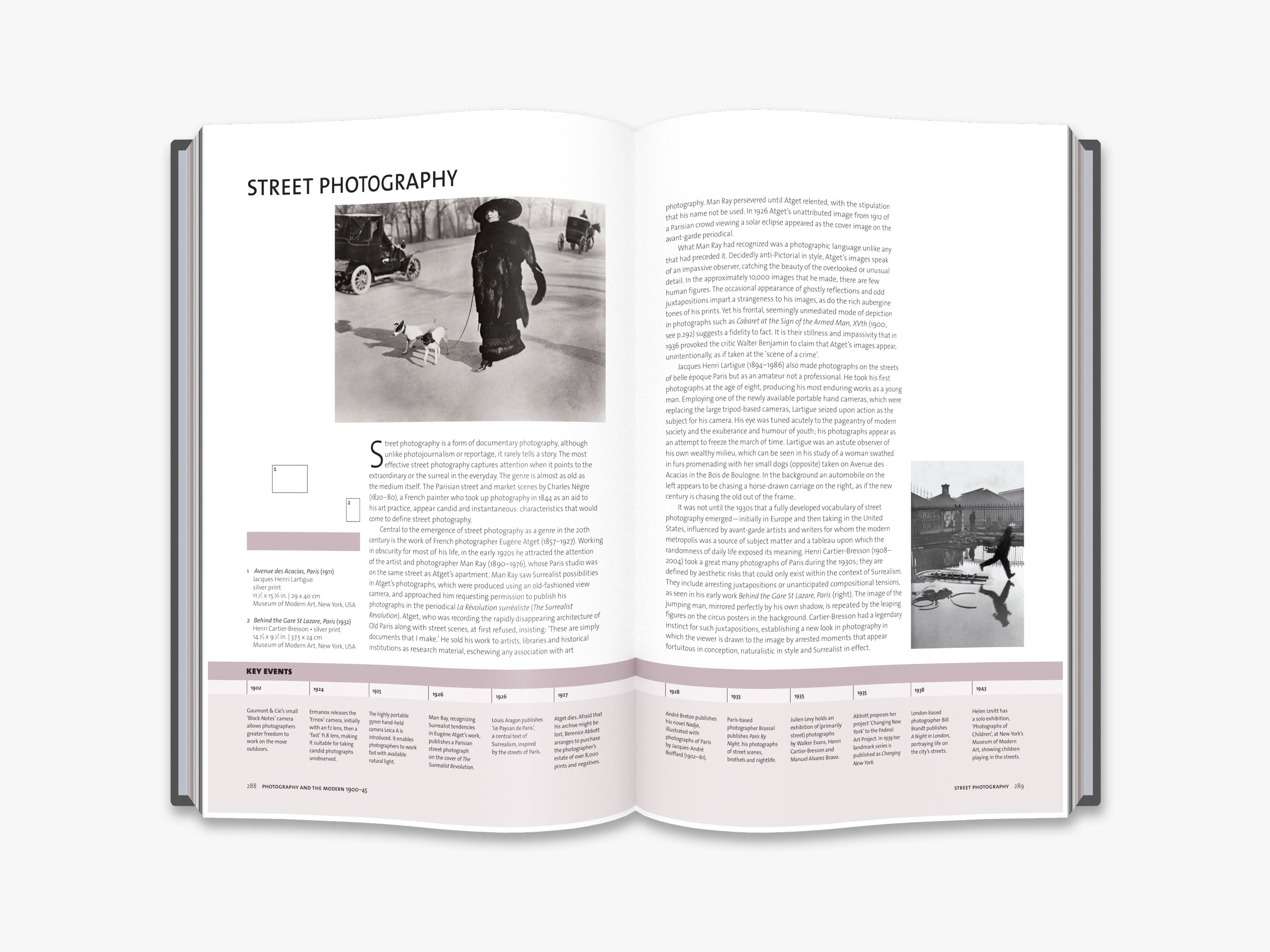 Photography: The Complete Guide - History, Techniques & Tips | Perfect for Beginners & Professionals | Capture Stunning Moments for Travel, Portraits & Events