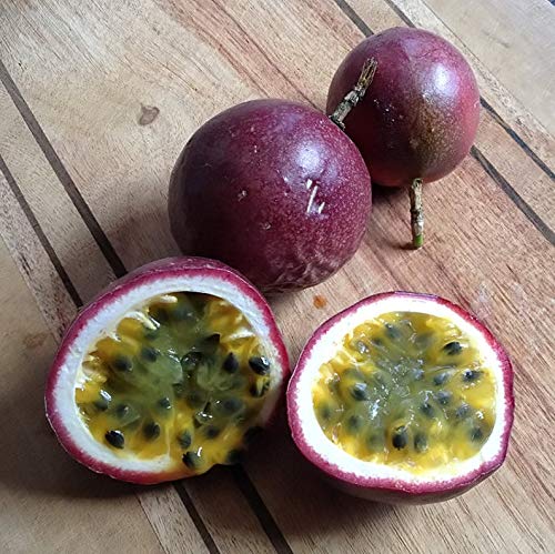Red Passion Fruit Live Plant - Passiflora Edulis 'Red Rover' - Tropical Fruit Vine for Home Garden & Landscaping - Perfect for Fresh Juices, Smoothies and Exotic Recipes