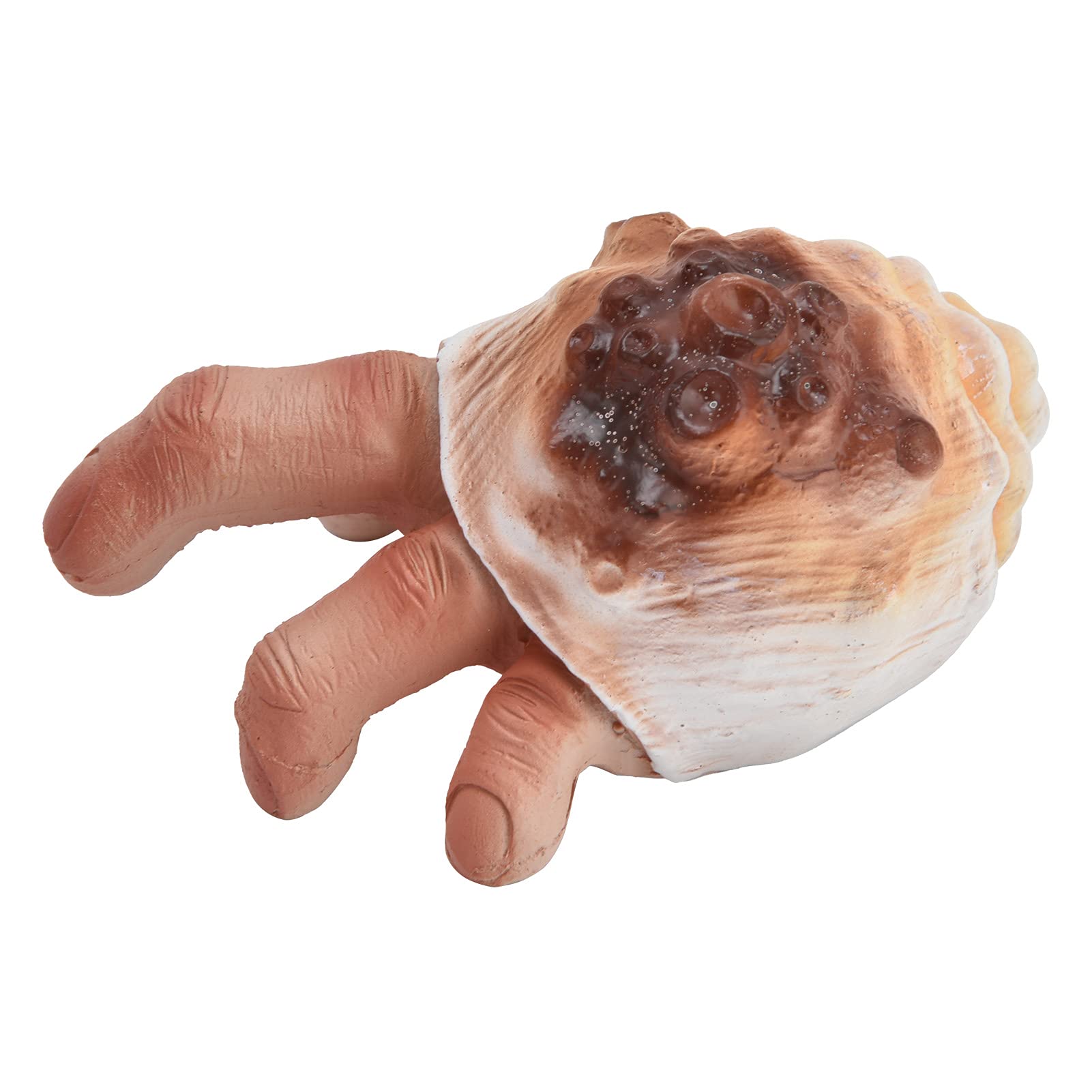 Resin Shell Statue Decor for Home & Office - Perfect Gift for Family & Friends