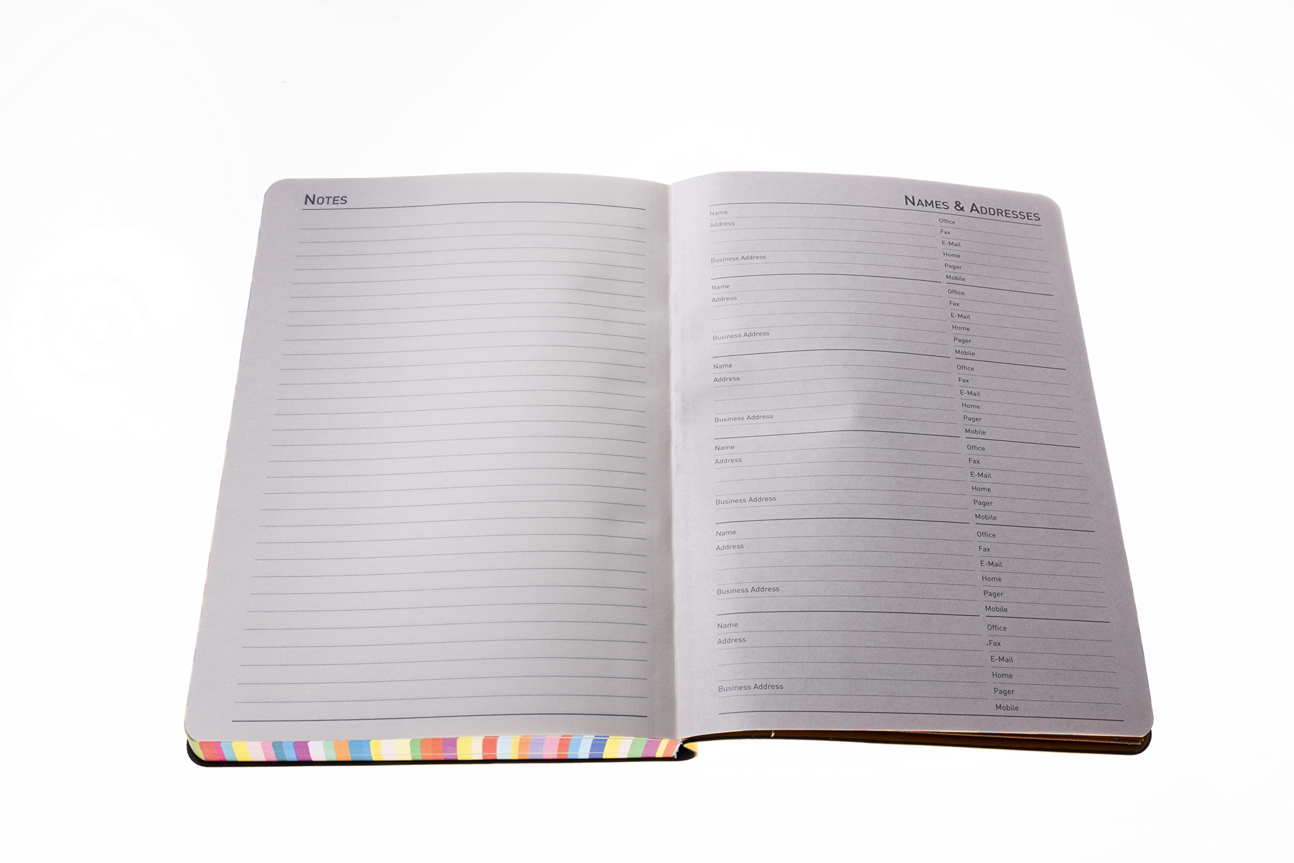 Collins Edge Rainbow 2025 A5 Daily Planner with Soft Touch Covers - Red Colored Page Edges & Appointment Sections | Perfect for Work, School & Personal Organization (ED151.U15-25)