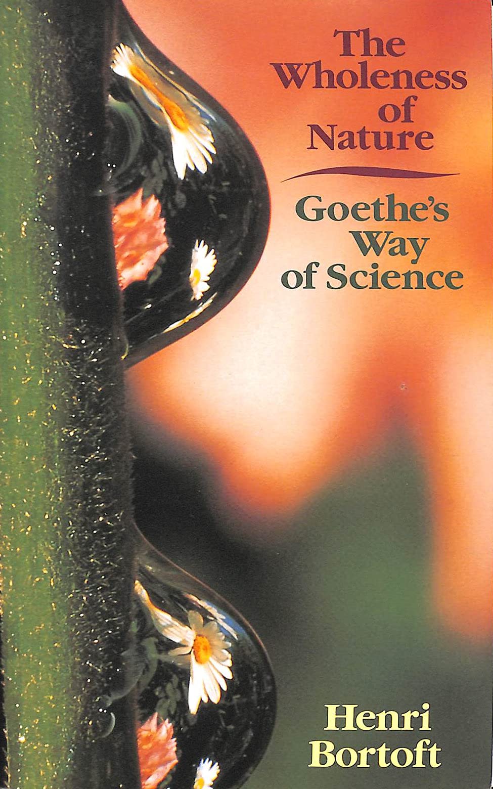 The Wholeness of Nature: Goethe's Way of Science - Exploring Ecological Philosophy & Natural Science for Nature Lovers, Researchers & Environmentalists | Perfect for Book Clubs, Academic Studies & Eco-Friendly Living