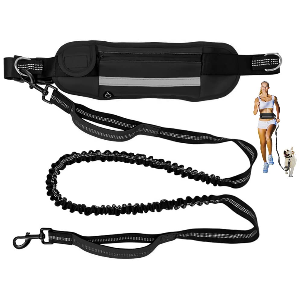 Hands Free Dog Leash with Zipper Pouch - Dual Padded Handles & Retractable Bungee Waist Leash for Small to Medium Dogs - Adjustable Belt for Walking, Jogging, Hiking, Biking - Perfect for Outdoor Adventures & Active Pet Owners