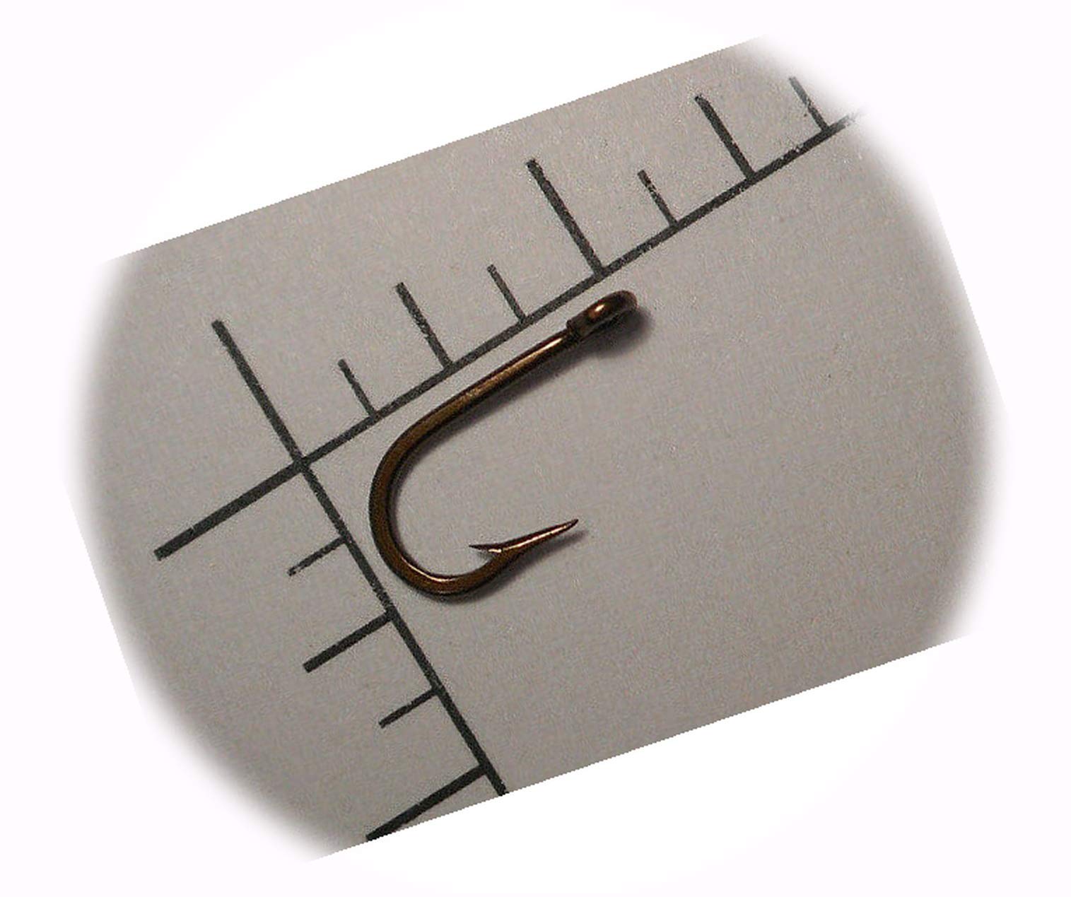 Rustproof #10 Fly Tying Hooks - 100pcs Round Fishing Hooks for Fly Fishing & Trout