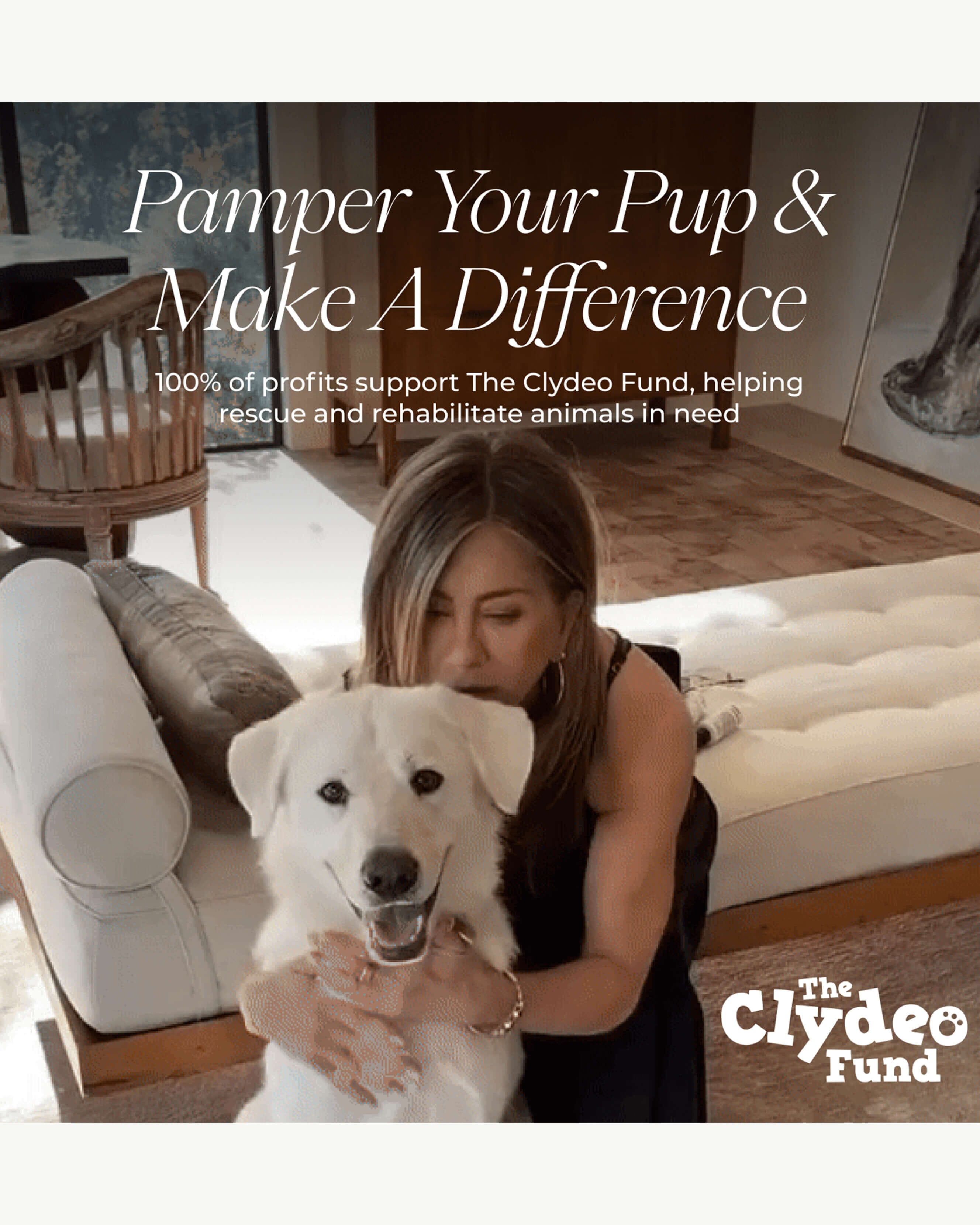 Puppy Love Dog Shampoo - Gentle Puppy Shampoo for Sensitive Skin | Hypoallergenic & Tear-Free Formula | Perfect for Bath Time & Grooming