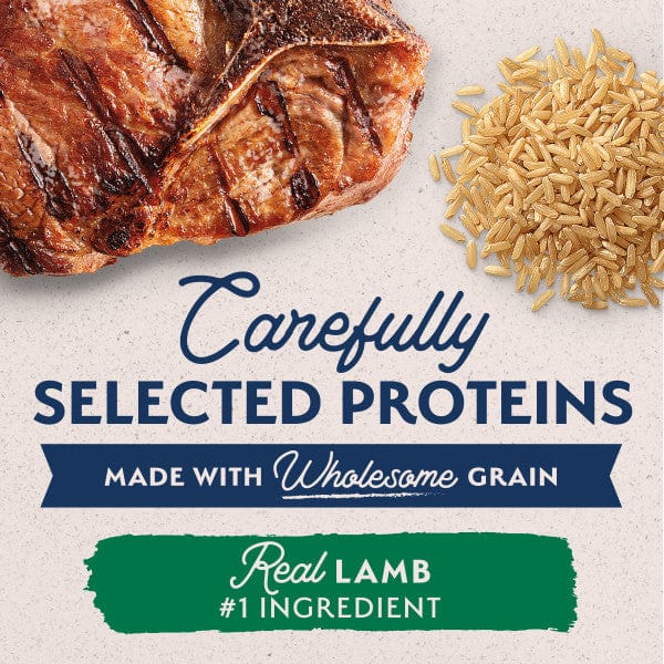 Natural Balance Limited Ingredient Lamb & Brown Rice Recipe Canned Dog Food - Grain-Free, Hypoallergenic Wet Food for Dogs with Sensitive Stomachs - Perfect for Mealtime, Travel & Emergency Pet Food Storage