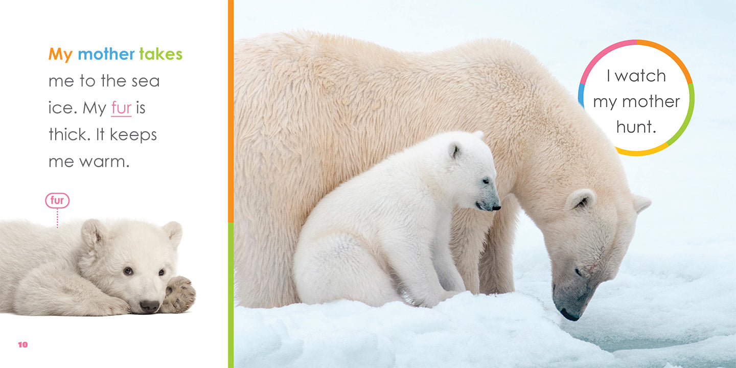 Adorable Baby Polar Bear Plush Toy - Soft & Cuddly Stuffed Animal for Kids & Collectors | Perfect for Gifts, Nursery Decor, and Cuddling