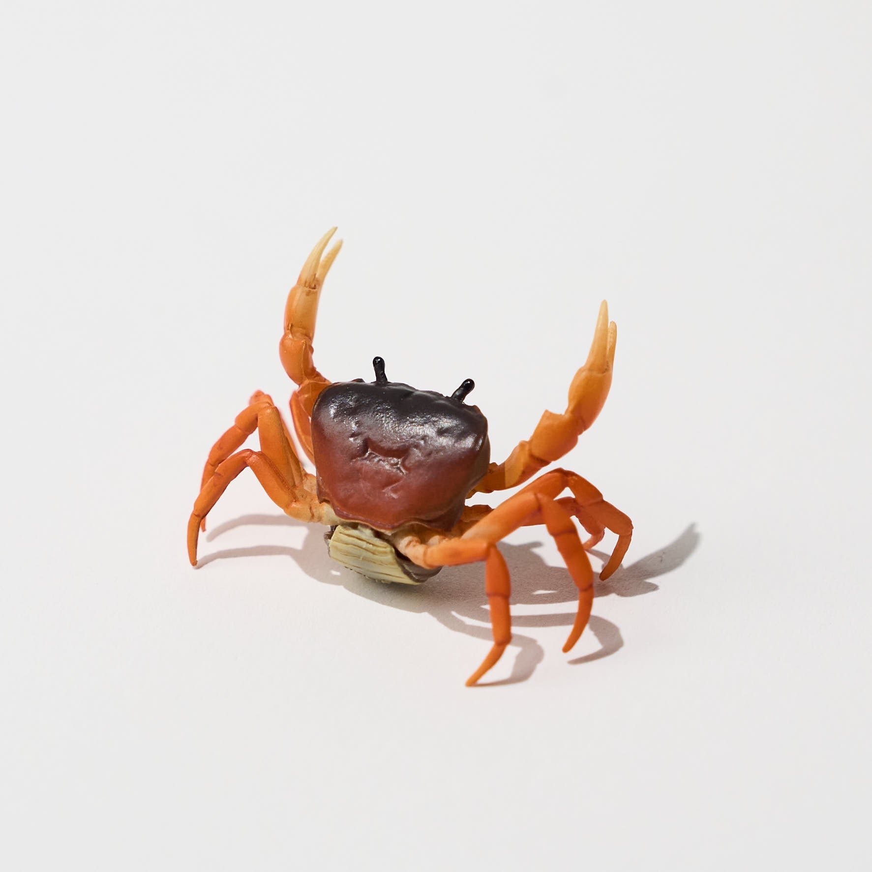 Nature of Japan Japanese Creatures 2 Gacha Capsule Toys - Collectible Kawaii Animal Figures for Anime Fans, Gift Ideas & Desk Decor