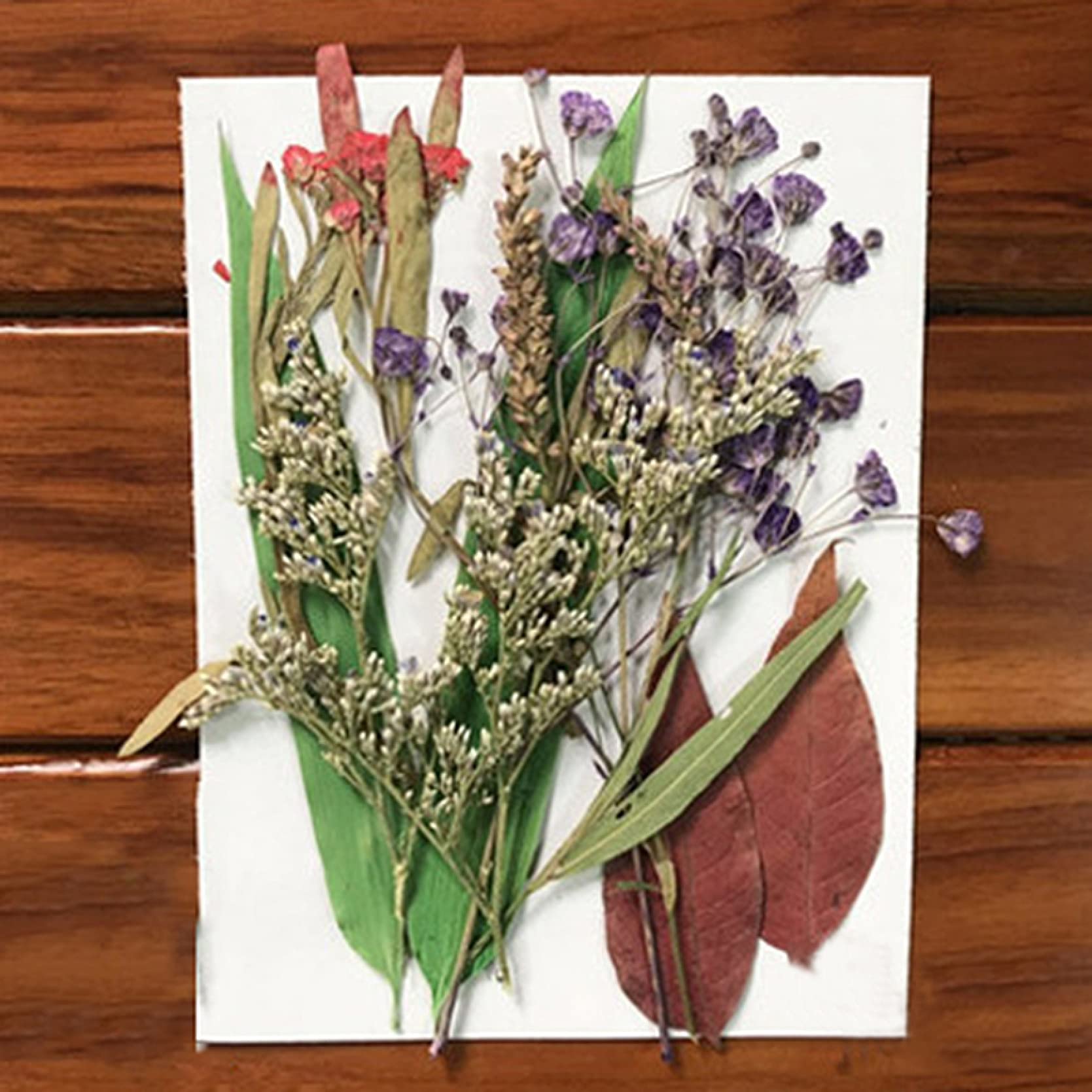 Pressed Flower Mixed Dried Flowers for Aromatherapy Candles, Greeting Cards, Epoxy Resin Crafts & DIY Jewelry Making - Perfect for Home Decor, Wedding Favors and Gift Wrapping