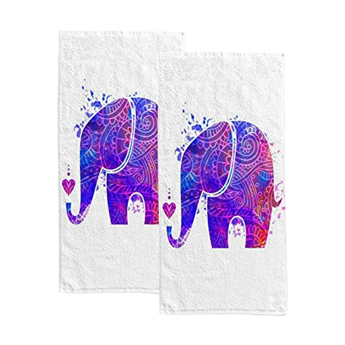 Beautiful Elephant Animal