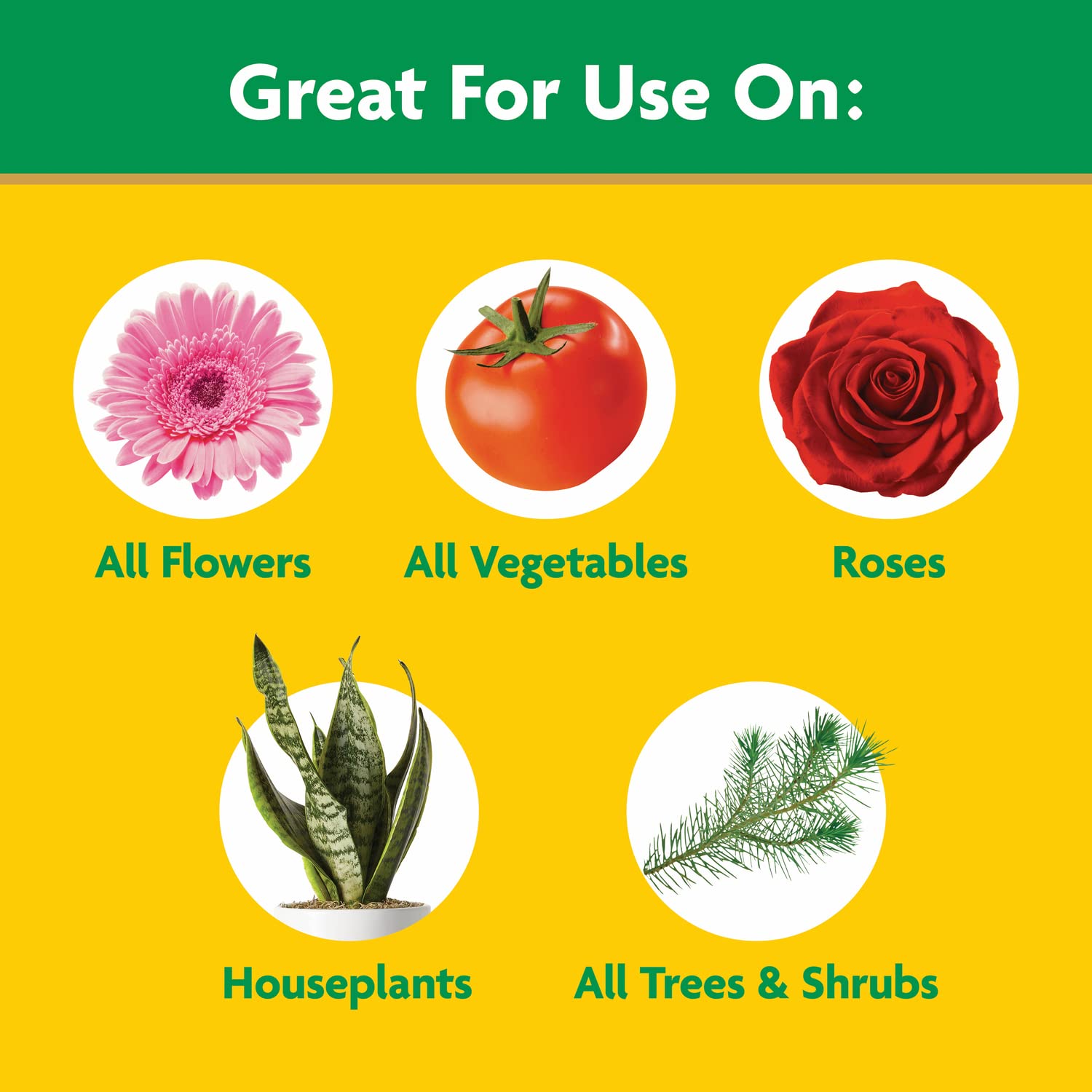 Miracle-Gro Water Soluble All Purpose Plant Food 5 lb - 24-8-16 NPK Fast-Acting Fertilizer for Indoor & Outdoor Plants - Perfect for Flowers, Vegetables, Lawns & Houseplants