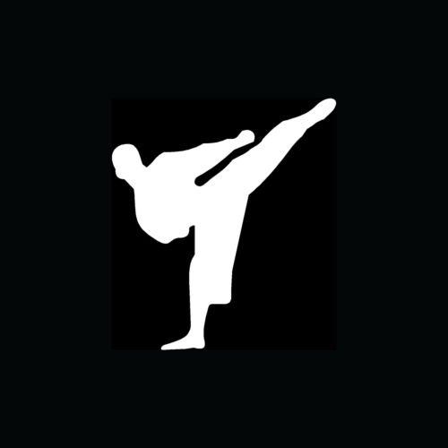 Karate Sticker Kick Vinyl Martial Arts Decal - Die Cut Vinyl Car Window Decal for Cars, Trucks, Laptops, MacBooks & Tool Boxes - Perfect for Martial Arts Enthusiasts & Vehicle Decoration