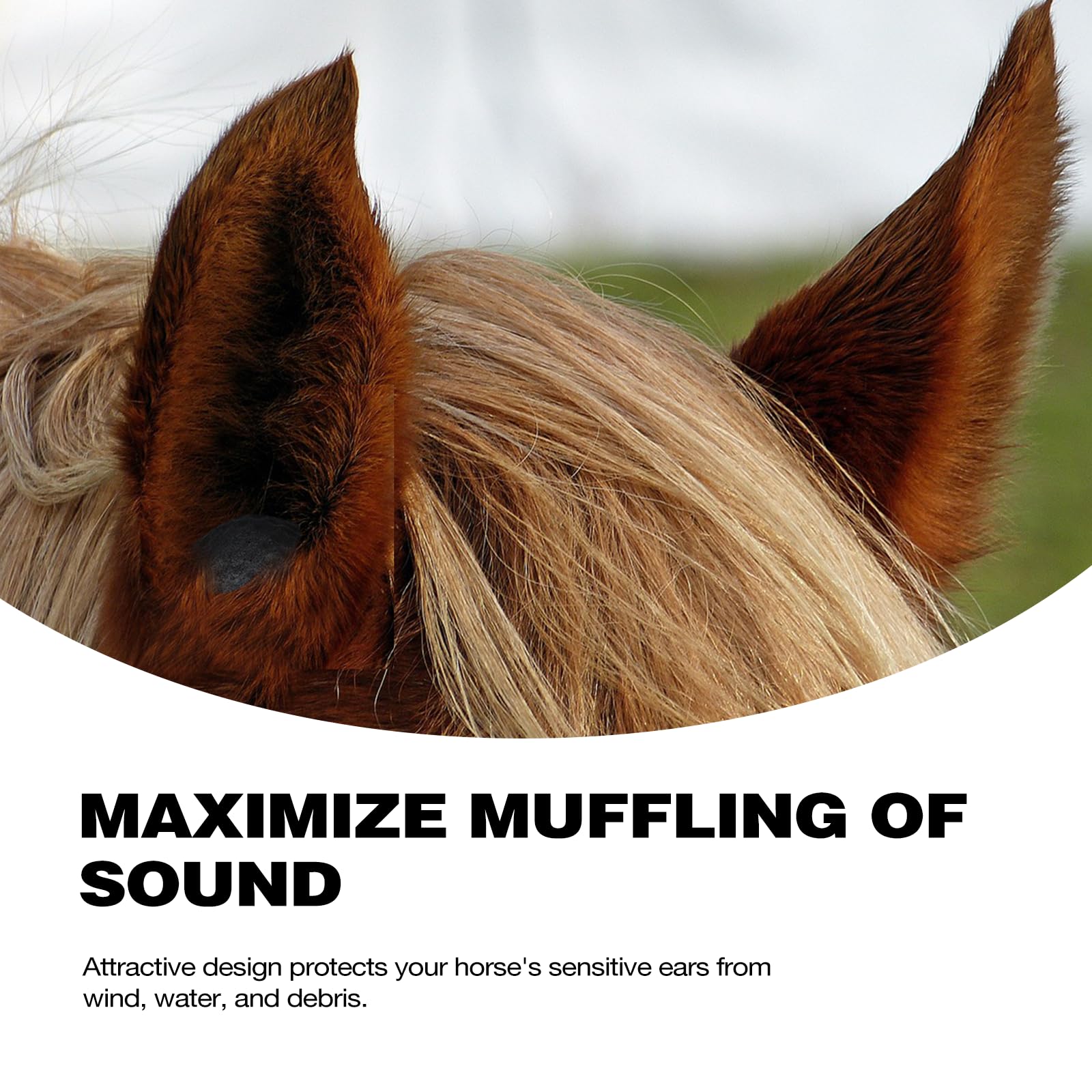 Harrison Howard EaseFit Equestrian Earplugs - 4cm Noise Reducing Foam Ear Plugs for Horses (2 PCS, Mars Black) - Perfect for Riding, Training & Show Environments