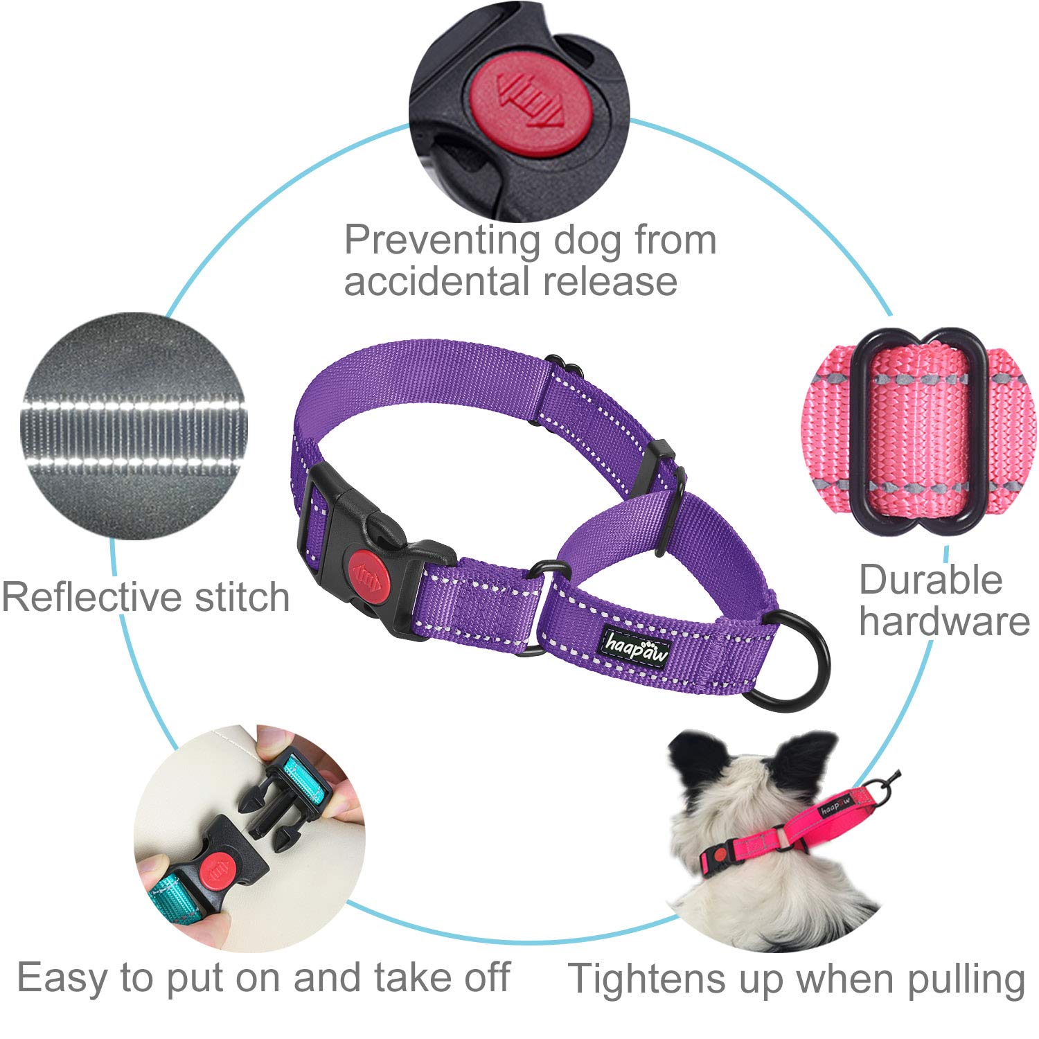 Haapaw 2-Pack Martingale Dog Collar with Quick Release Buckle & Reflective Strips - Adjustable Training Collar for Small, Medium & Large Dogs (Medium, Purple) - Perfect for Night Walks, Obedience Training & Daily Use