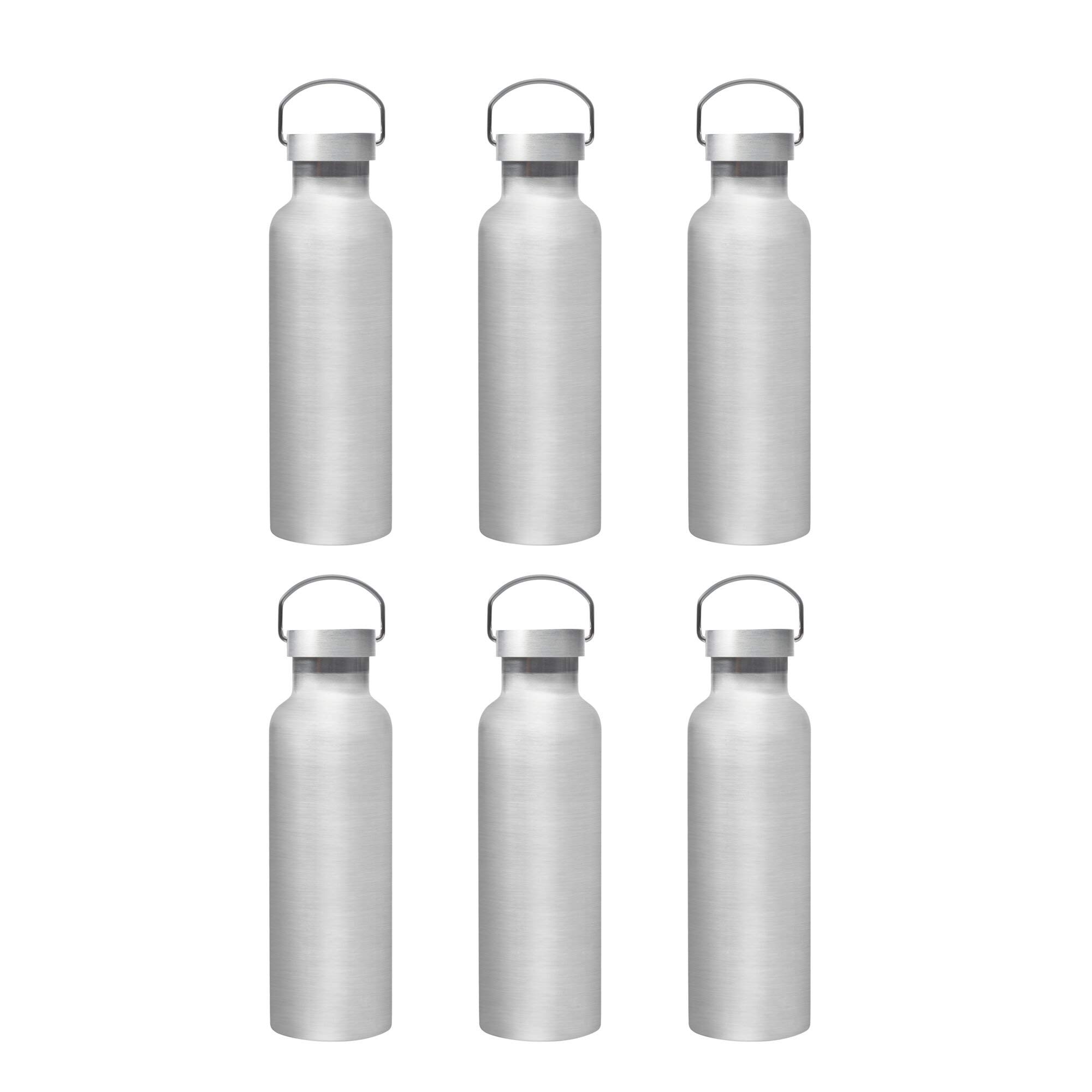 6-Pack 25 oz Stainless Steel Double Wall Water Bottles with Wire Handle - Silver - Ideal for Camping, Hiking, Gym & Outdoor Activities