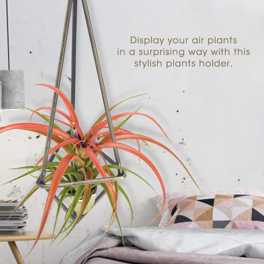 Geometric Triangle Flower Hanging Holder - Elegant Air Plant & Bromeliad Display Rack - Indoor House Decor & Garden Decoration - Perfect for Living Room, Patio, and Balcony Plant Displays