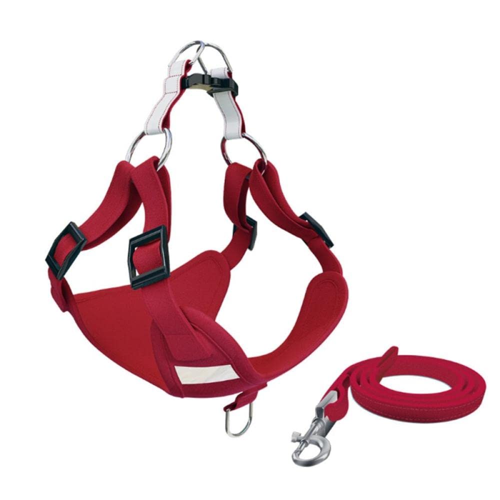 Reflective Dog Harness and Leash Set - Adjustable Pet Vest for Small & Medium Dogs - Red Safety Harness for Puppies XXS - Perfect for Night Walks, Jogging & Outdoor Adventures