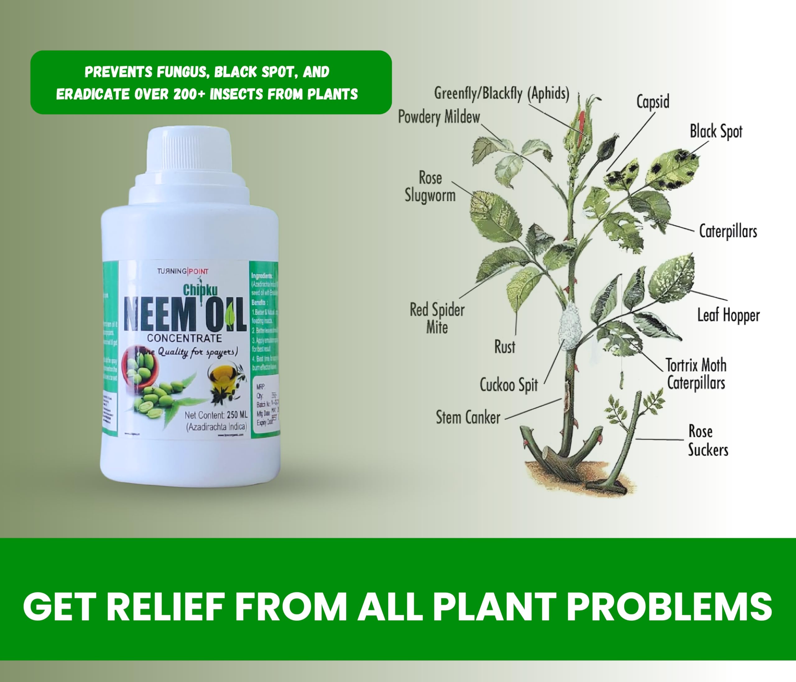 Pure Cold Pressed Water Soluble Neem Oil 250ml for Plants - Organic Pest Control for Aphids, Fungus, Thrips & Mildew - Indoor/Outdoor Garden Use with Free Spray Gun (Makes 50 Neem Spray Bottles) - Perfect for Organic Gardening & Plant Protection