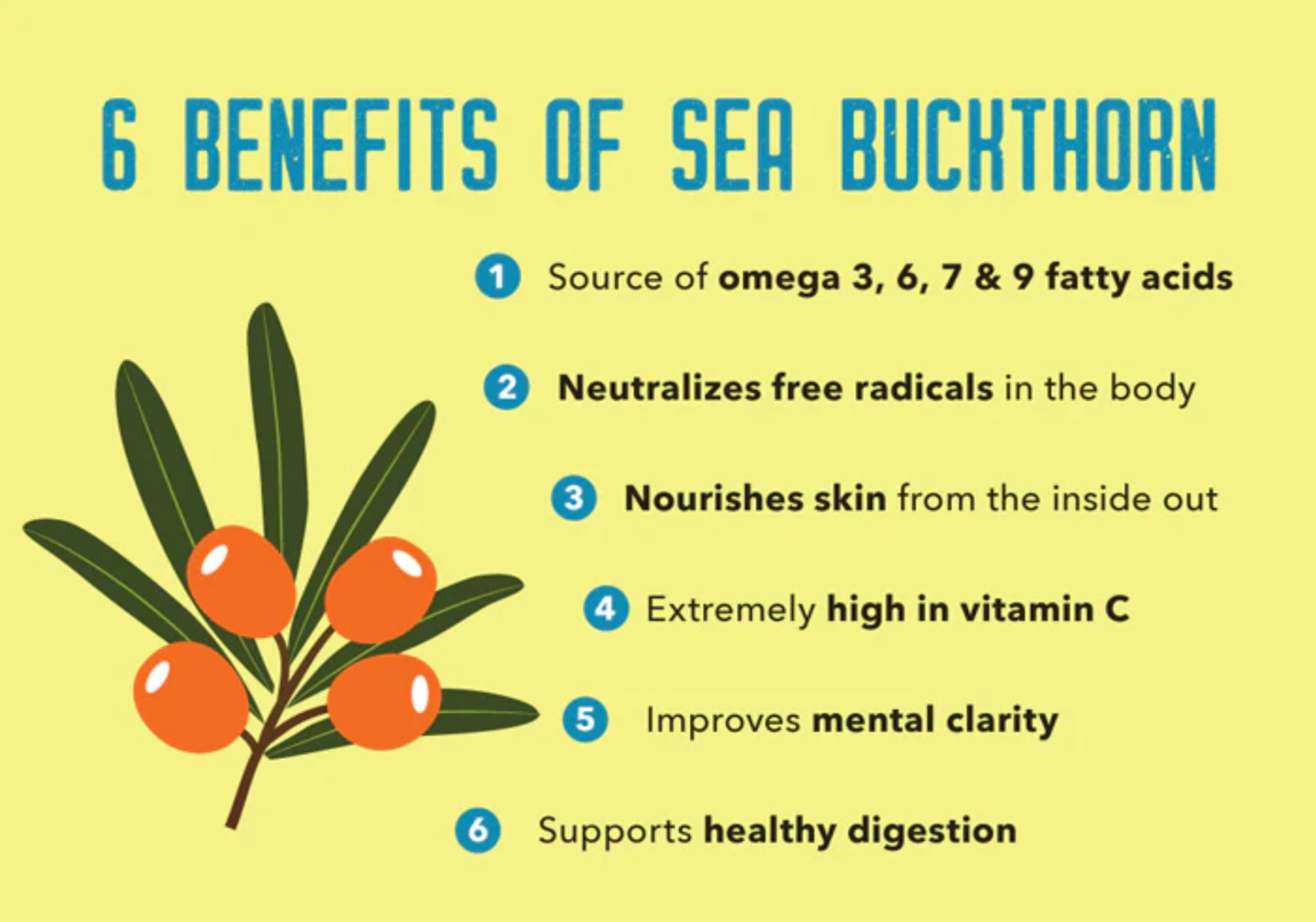 Organic Sea Buckthorn Powder - Pure & Dry | Rich in Fiber, Omega Fatty Acids & Vitamin C (65g) | Superfood for Smoothies, Baking & Immune Support
