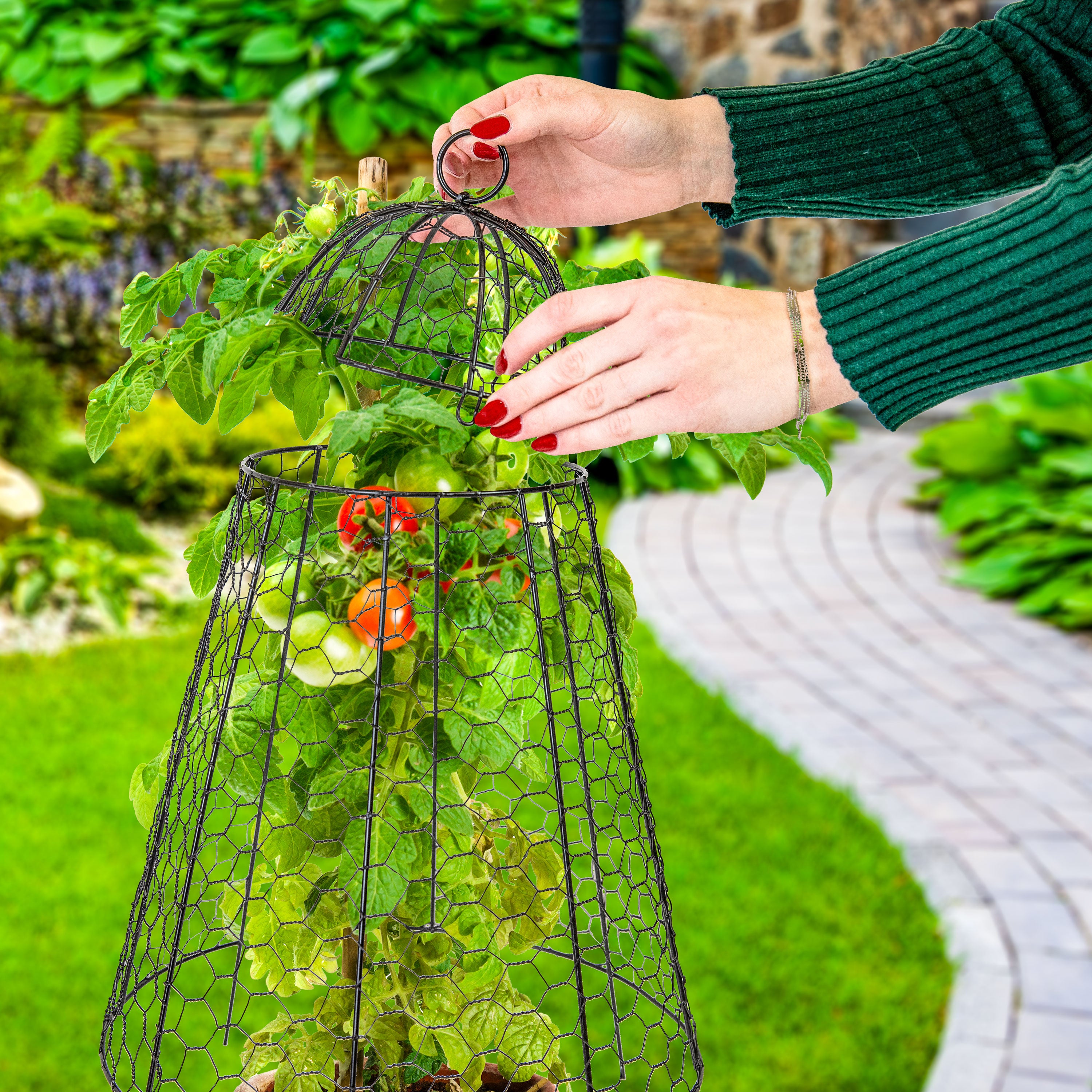 Sunnydaze 6-Pack Mesh Cloche Plant Protectors with Removable Covers - Garden Frost Protection for Vegetables, Flowers & Seedlings | Outdoor & Indoor Use