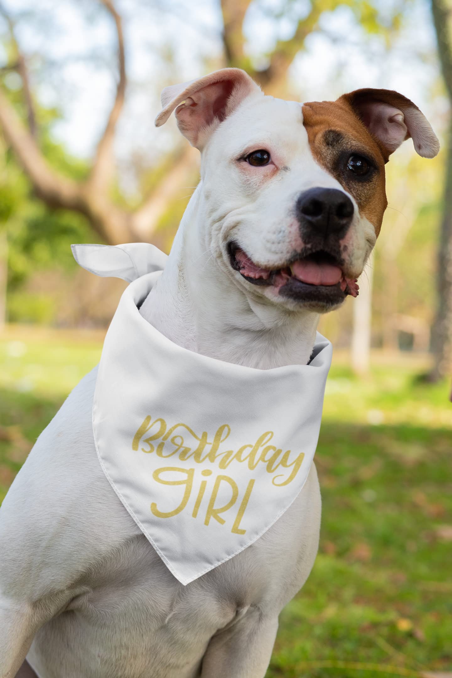 Birthday Girl Iron On Transfer - DIY Birthday Gift, T-Shirt Decal for Parties, Customizable Labels for Shirts & Fabrics (Purple Glitter) - Perfect for Birthday Celebrations, DIY Crafts & Personalized Gifts