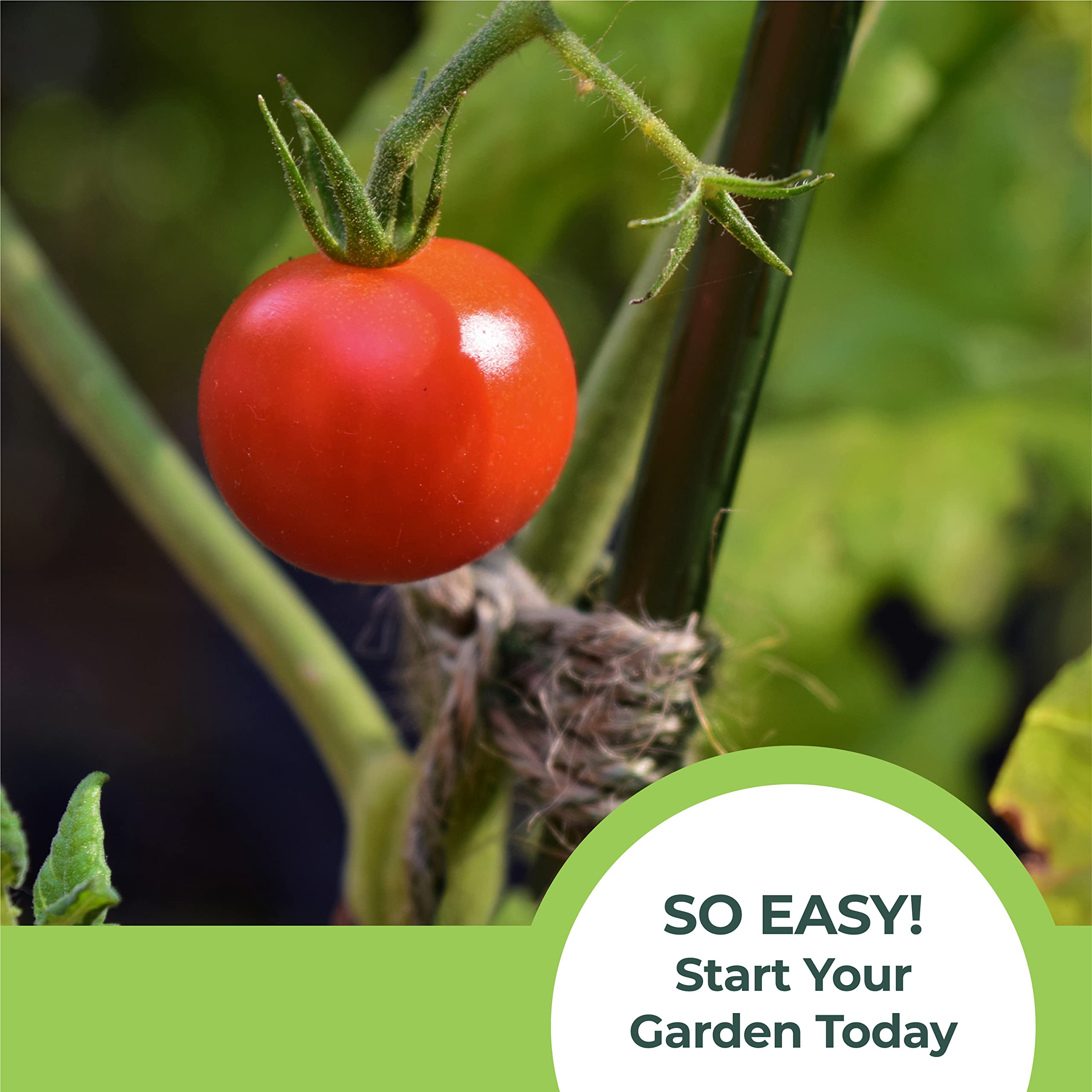 Kids Vegetable Planting Kit - Window Garden Sow Much Fun Seed Starter with 3 Self-Watering Planters, Soil, Cherry Tomato Seeds & Puffy Stickers | Easy No-Mess Gardening for Children | Perfect for Indoor Classroom Projects & Home Science Experiments