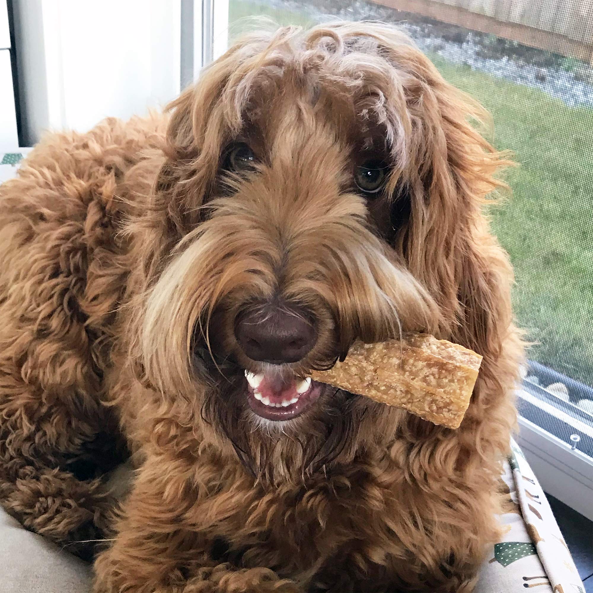 Happy Teeth Natural Cheese Dog Chews - Dental Treats for Dogs | Gluten Free, Lactose Free, Wheat Free, Soy Free | Cheese, Peanut, Bacon Flavors | 2 Chews per Resealable Pouch, 3 Pouches per Pack | Promotes Oral Health & Fresh Breath - Perfect for Training, Rewards, and Daily Dental Care