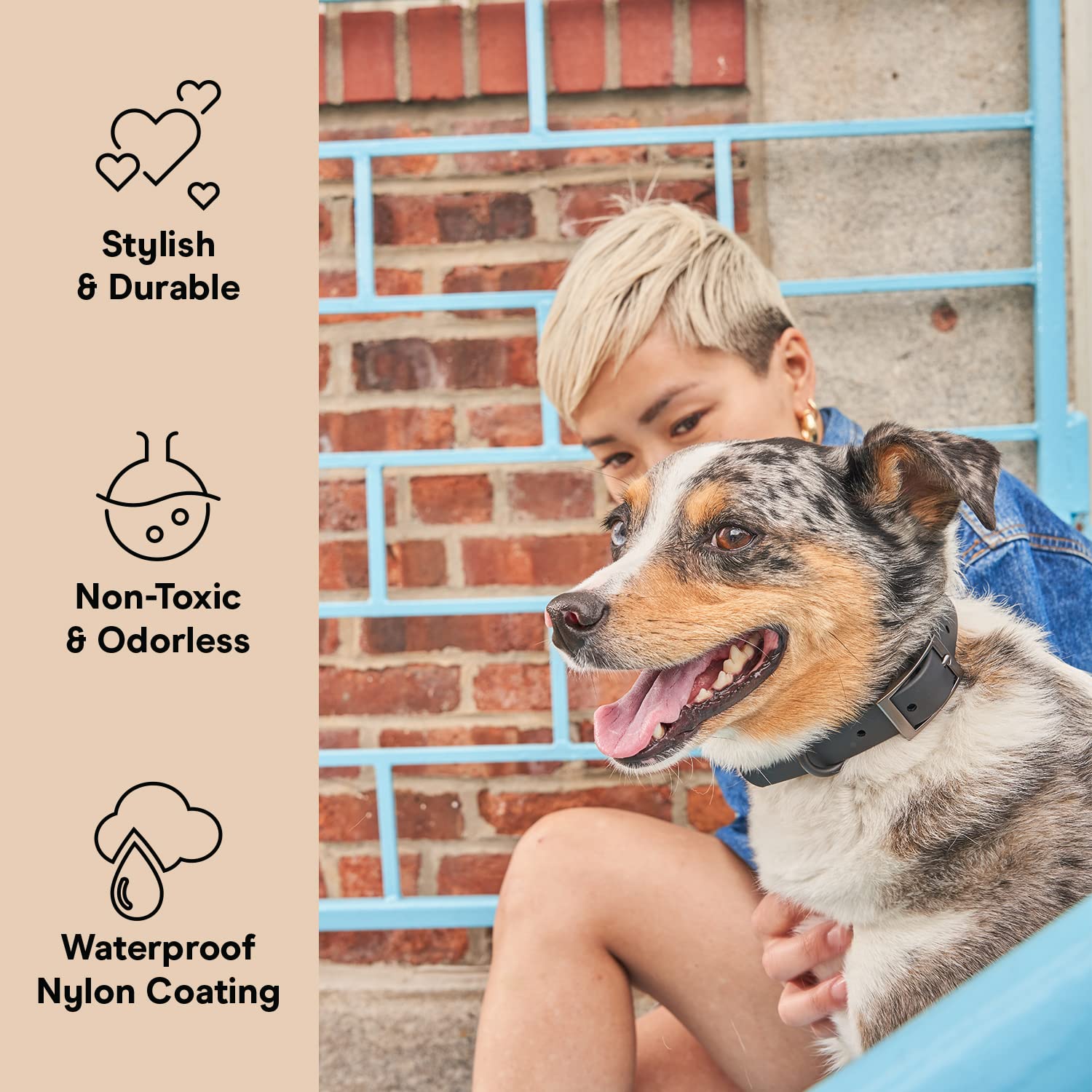 Wild One Dog Collar - Original Easy-Clean All-Weather Flex-Poly Strap with Metal Buckle | Durable, Dirt & Odor Resistant Pet Collar for Small Dogs | Perfect for Daily Walks, Hiking & Outdoor Adventures (XS, Black)
