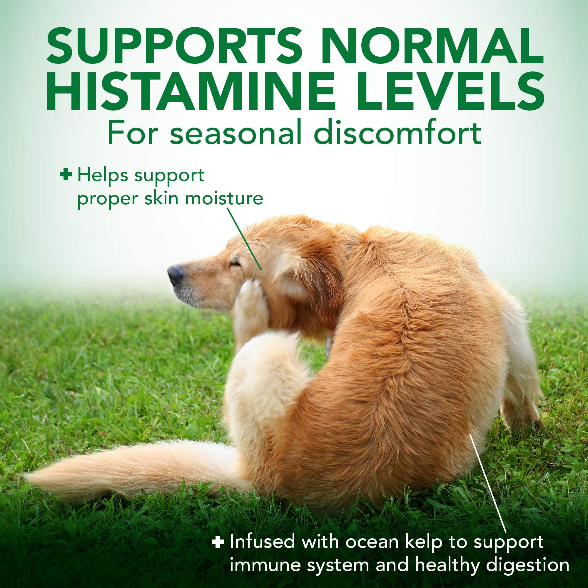 Vet's Best Seasonal Allergy Soft Chew Dog Supplements for Itchy Skin Relief - Supports Healthy Histamine Levels - 90-Day Supply for Medium to Large Dogs - Perfect for Outdoor Activities and Allergy Season Comfort