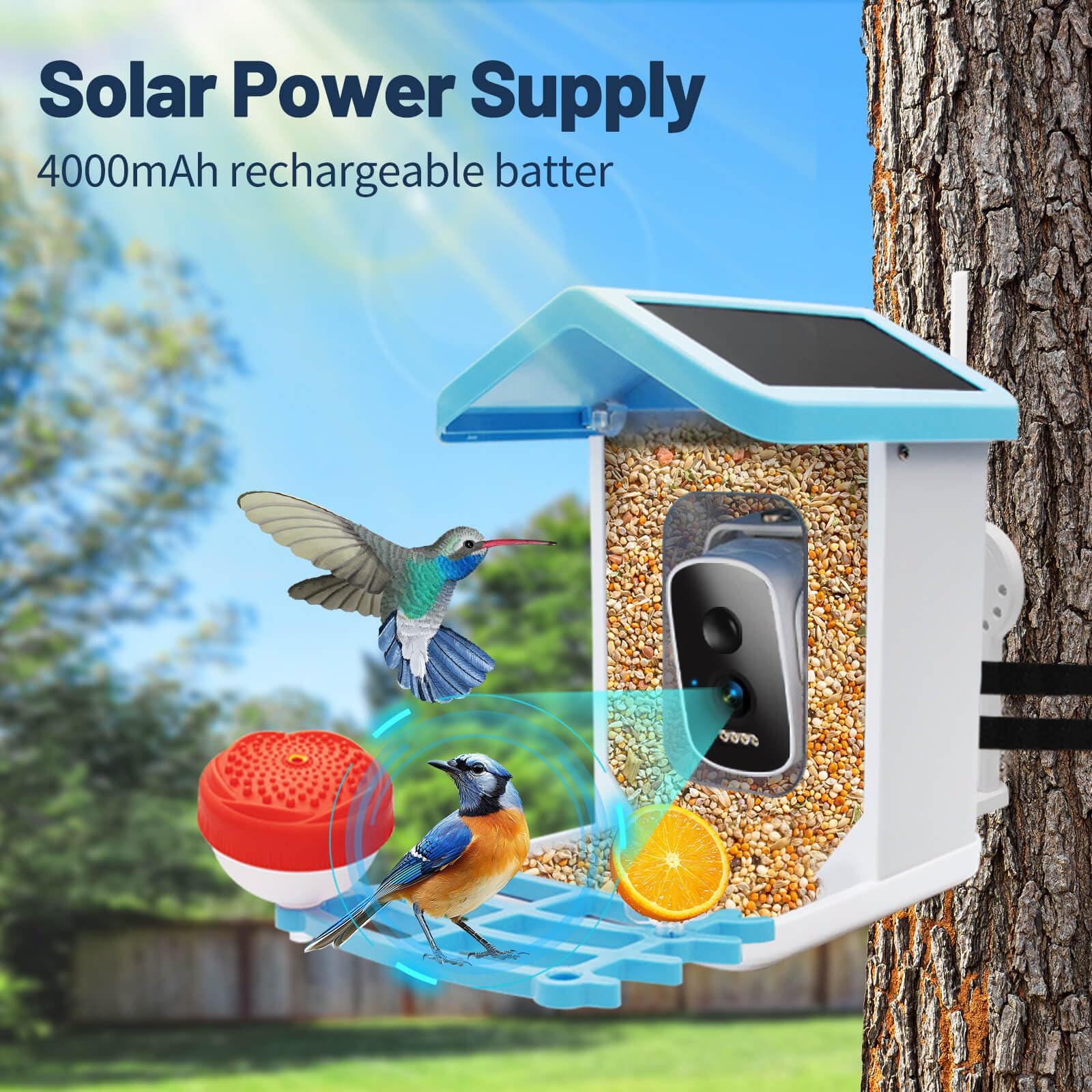 Smart Bird Feeder with Camera - 4K HD AI Bird Identification, Solar Powered, Auto Capture & Motion Detection - Perfect Gift for Bird Lovers, Grandma & Mom - Ideal for Backyard Birdwatching & Nature Enthusiasts