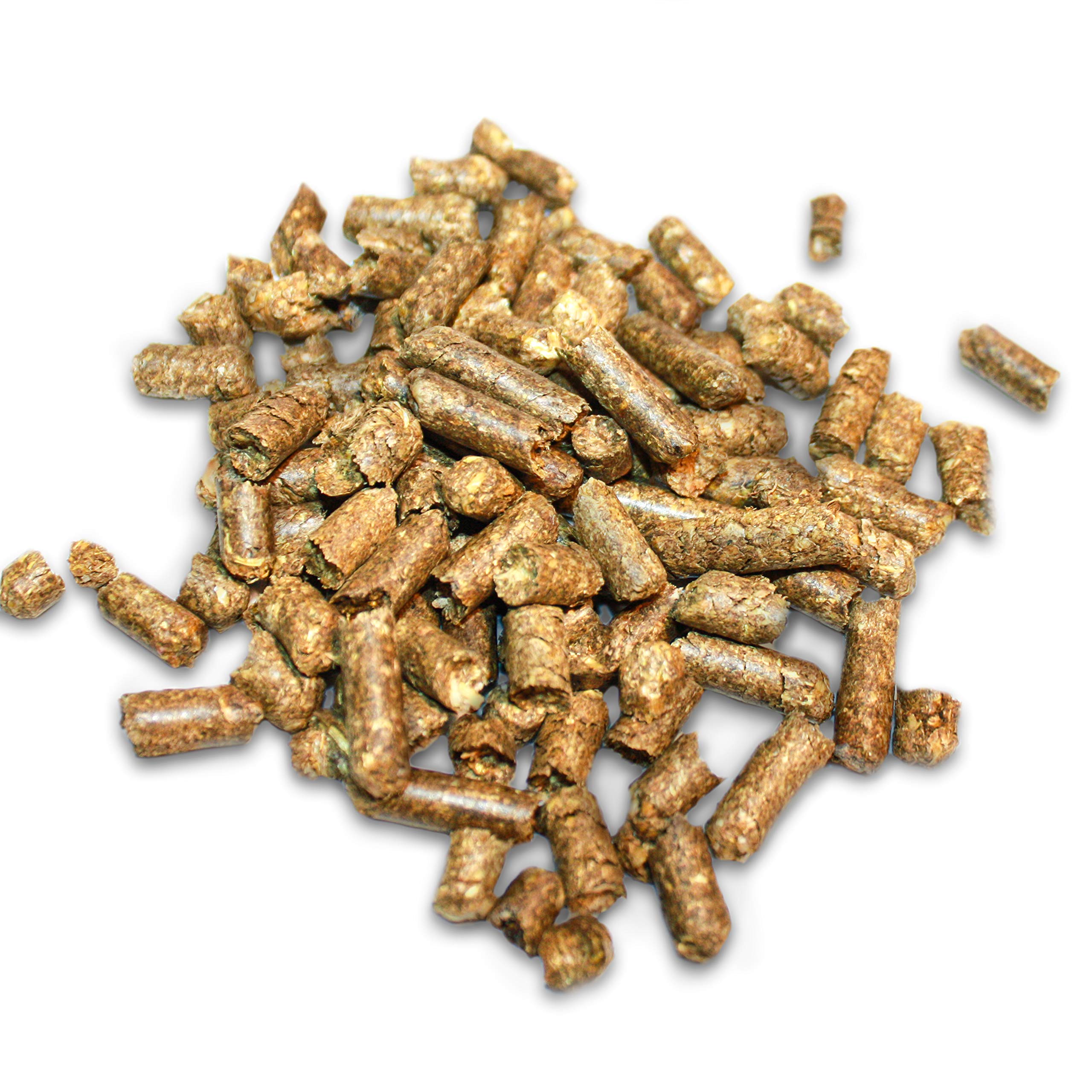 Komodo Straw Terrain - Premium Reptile Bedding & Substrate for Lizards, Snakes & Turtles | Natural Straw Habitat | 12L (3.2 Gallon) | Ideal for Terrariums, Vivariums & Reptile Enclosures
