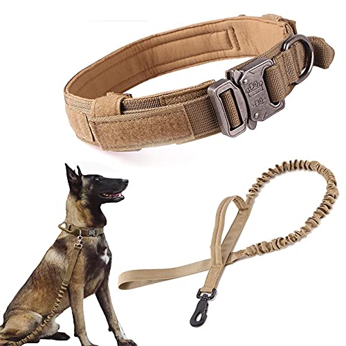 Brown SET(collar+leash)