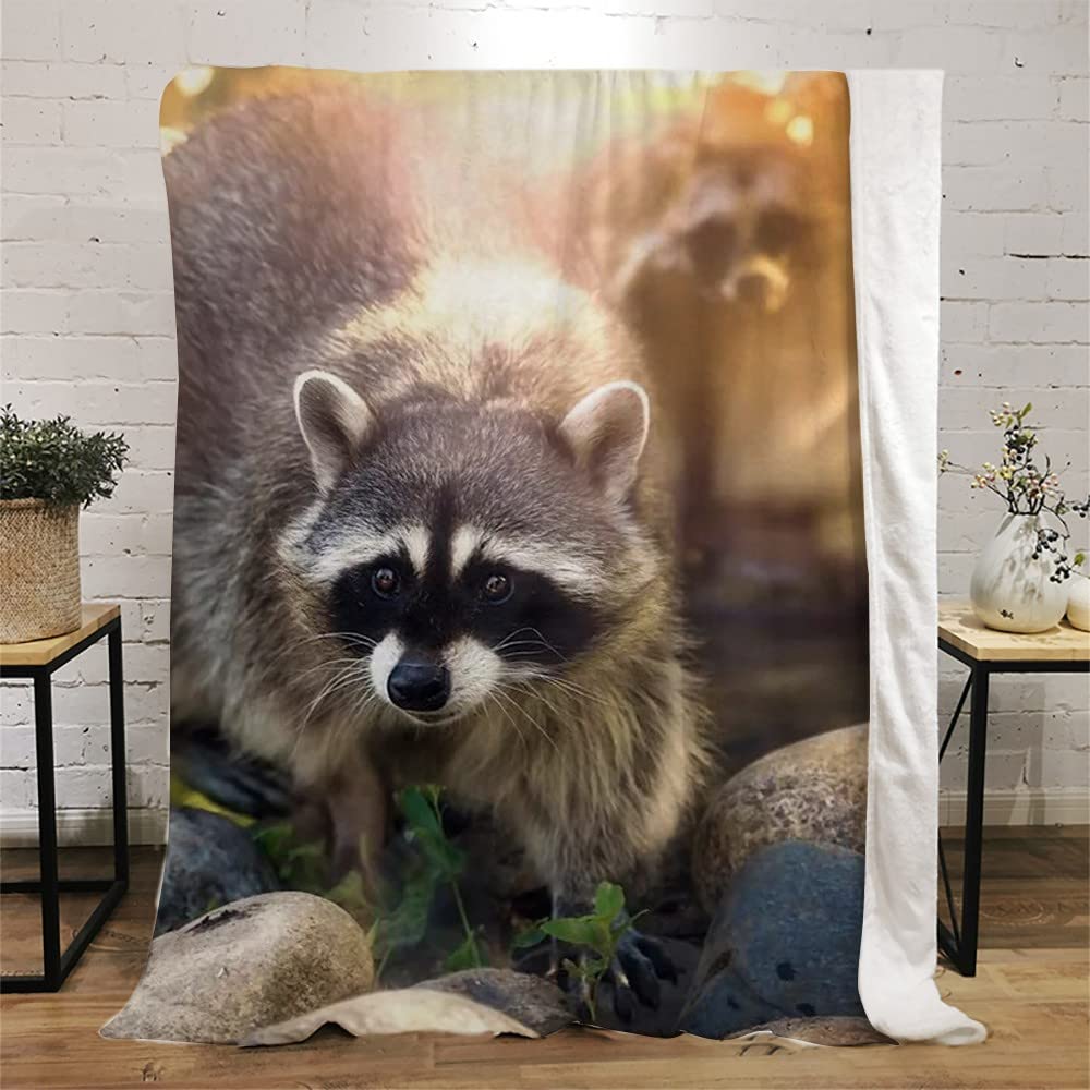 Soft Grey Raccoon Kids Throw Blanket 50x60 Inch - Microfiber Flannel Fleece Blanket for Boys & Girls, Cozy Weighted Blanket for Bed, Sofa & Couch - Perfect for Sleepovers, Movie Nights & Winter Snuggles