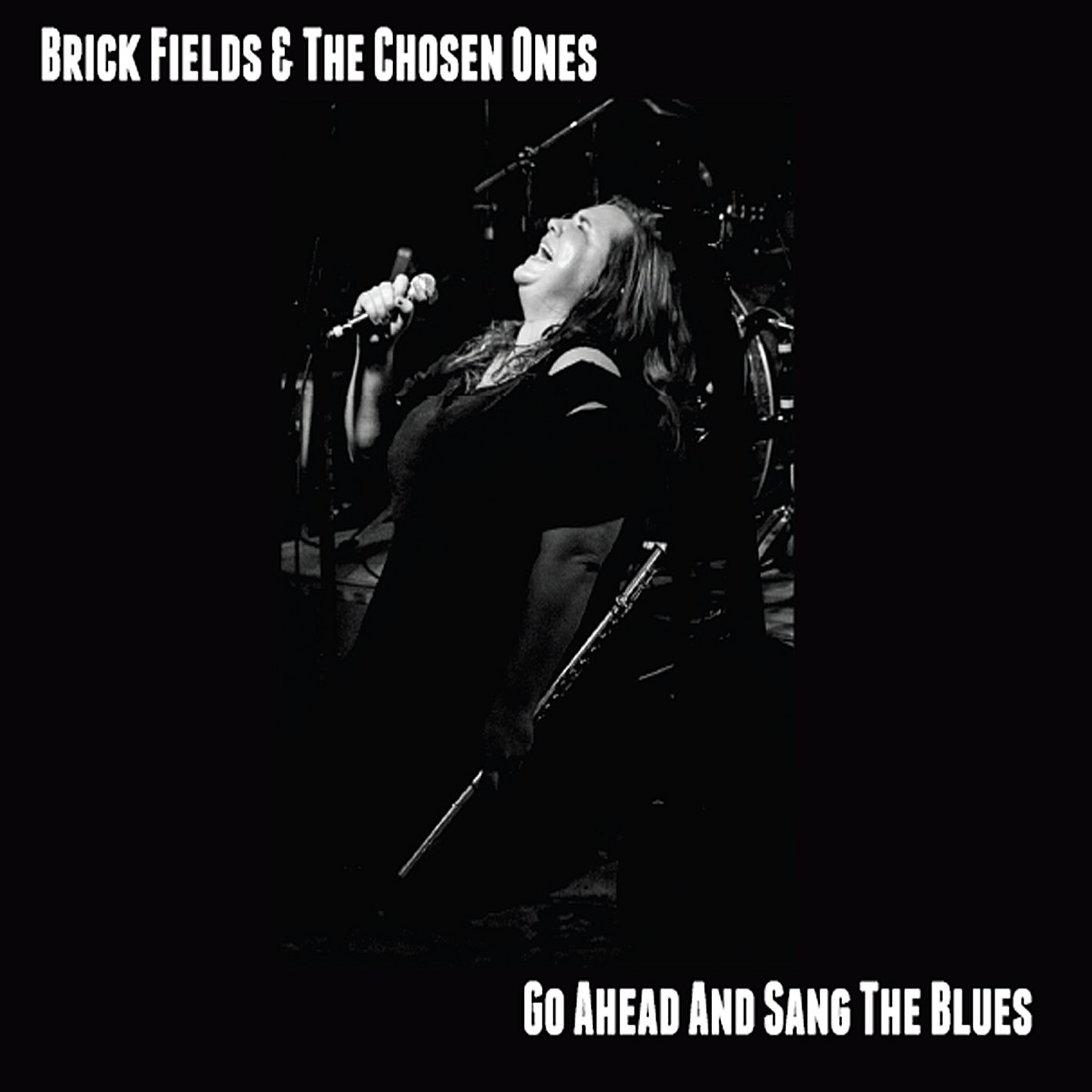 Go Ahead & Sing the Blues - Vintage Blues Music Album for Vinyl Collectors & Music Lovers | Perfect for Relaxing Evenings & Retro-Themed Parties