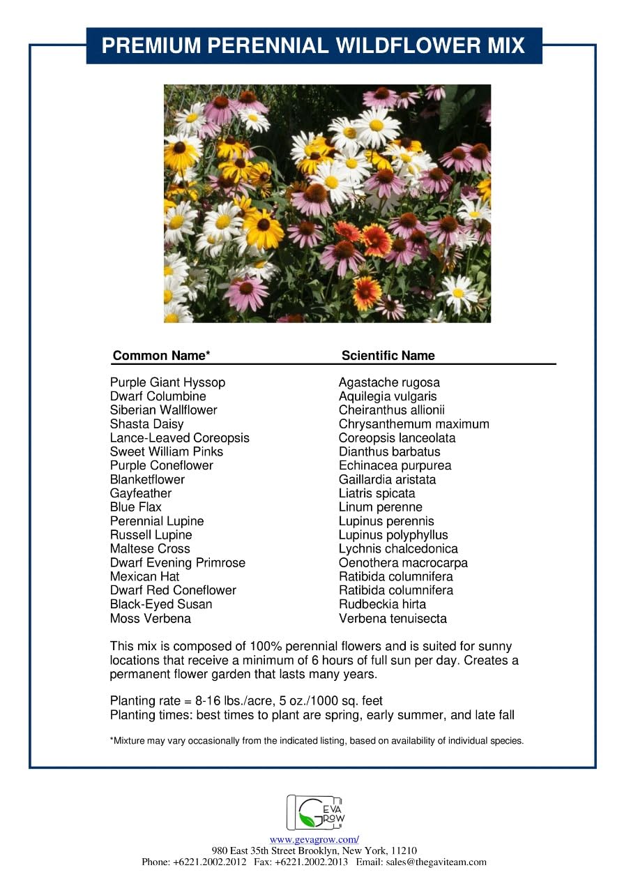 Bulk Wildflower Seed Shaker – 1 Pound Tub with 900,000+ Perennial Flower Seeds Mix (20 Varieties) by Geva Grow – Perfect for Gardens, Meadows & DIY Wedding Favors