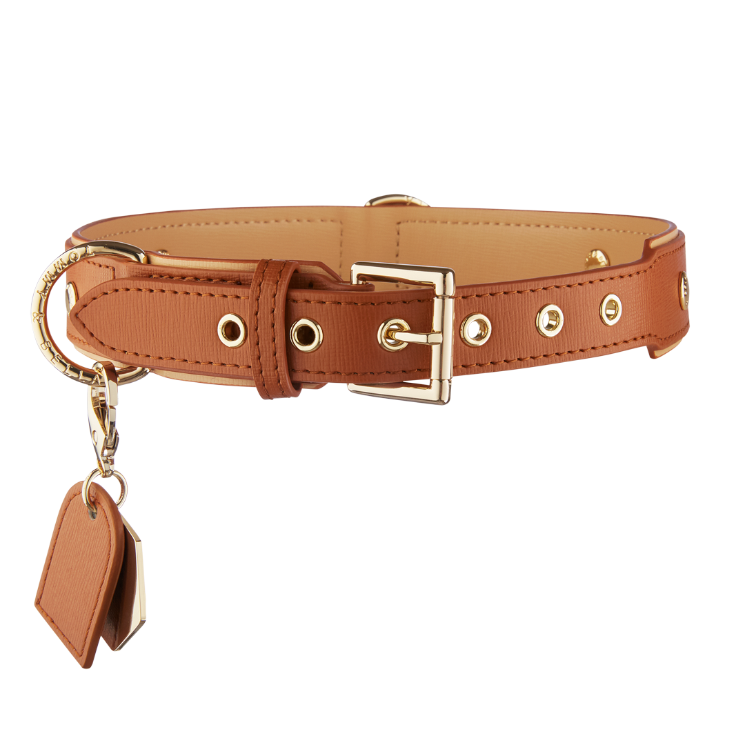 Premium Light Brown Dog Collar - Adjustable & Durable Pet Collar for Small to Large Dogs - Perfect for Walks, Training & Outdoor Adventures