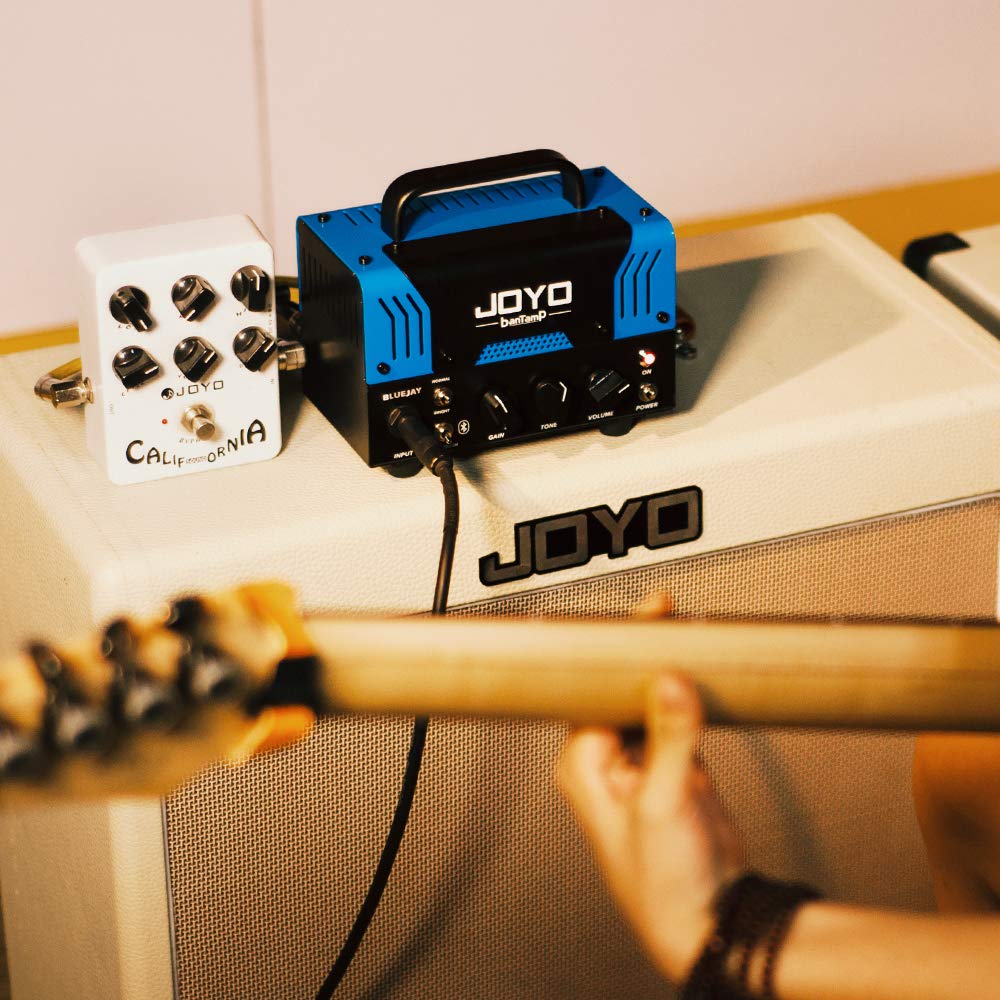 JOYO Bluejay BanTamp 20W Hybrid Tube Guitar Amp Head with Bluetooth - 2-Channel Preamp for Electric Guitar - Perfect for Home Practice, Studio Recording & Live Performances