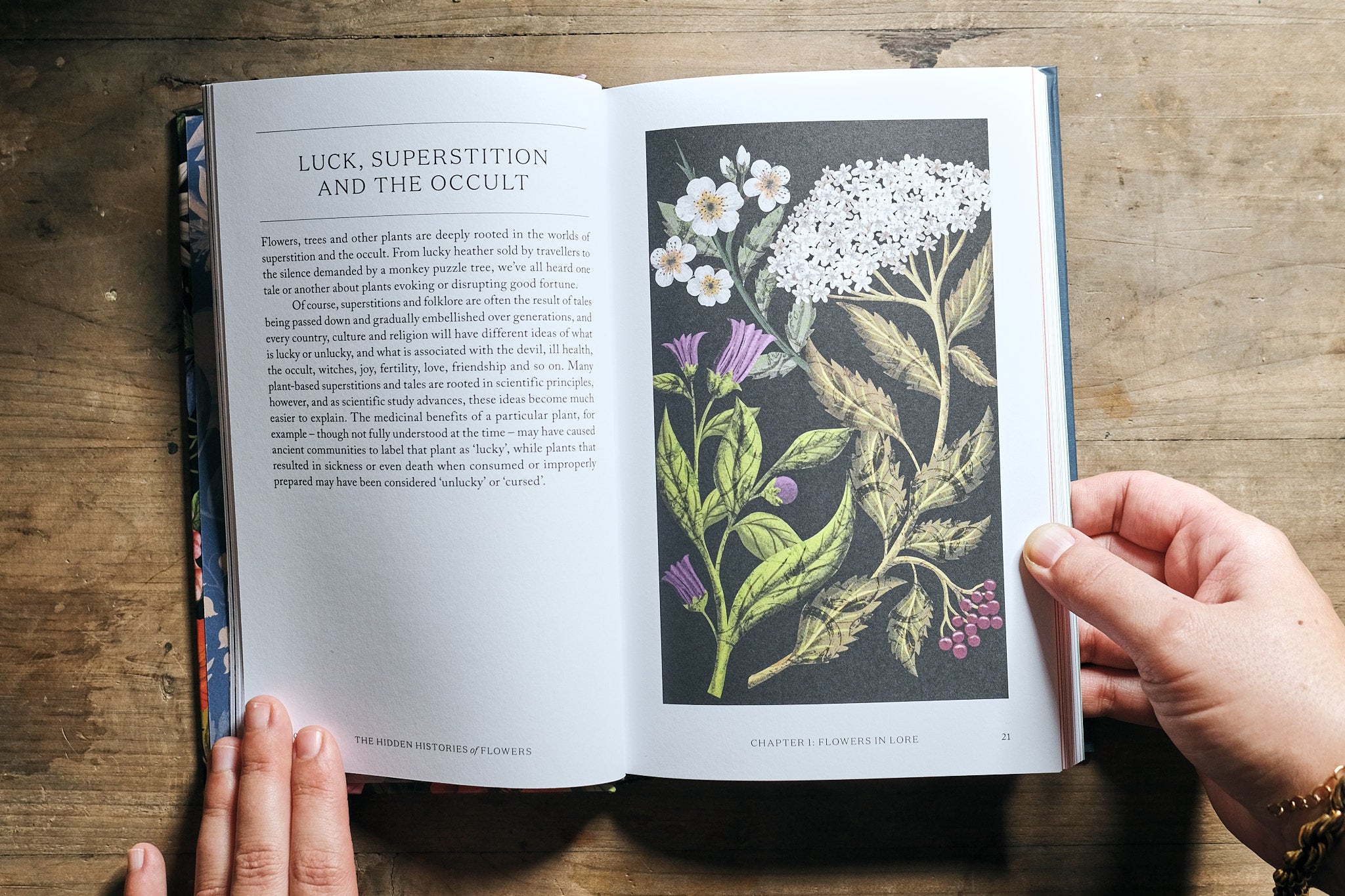 Discover the Hidden Histories of Flowers - Meaning, Symbolism & Cultural Significance | Perfect for Gardeners, Florists & Flower Enthusiasts