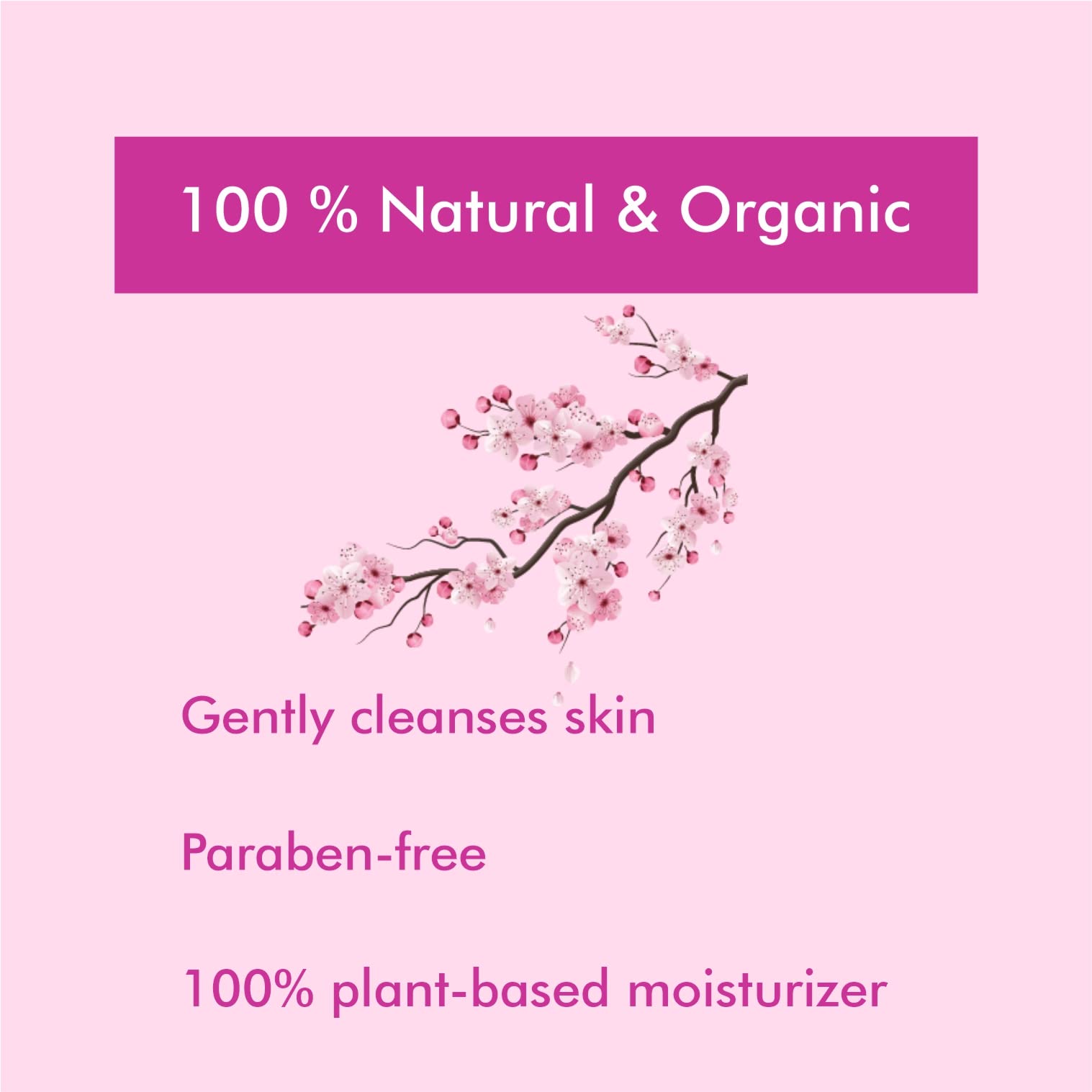 ECONATURE Cherry Blossom Body Wash & Shower Gel - Moisturizing Liquid Soap for Soft Skin (275ml, Pack of 1) | Gentle Cleansing for Daily Shower & Bath | Perfect for Dry & Sensitive Skin Care Routine
