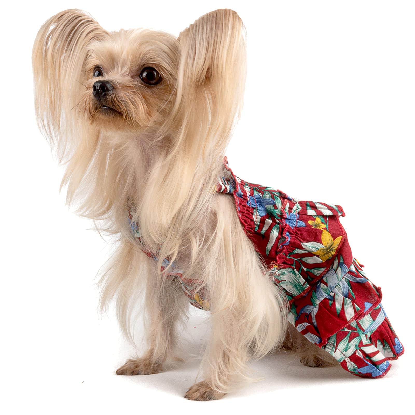 CuteBone Dog Dress - Adorable Puppy Skirt & Cat Outfit, Pet Clothes for Small Dogs, Girl Costume Birthday Gift - Perfect for Parties, Photo Shoots & Special Occasions