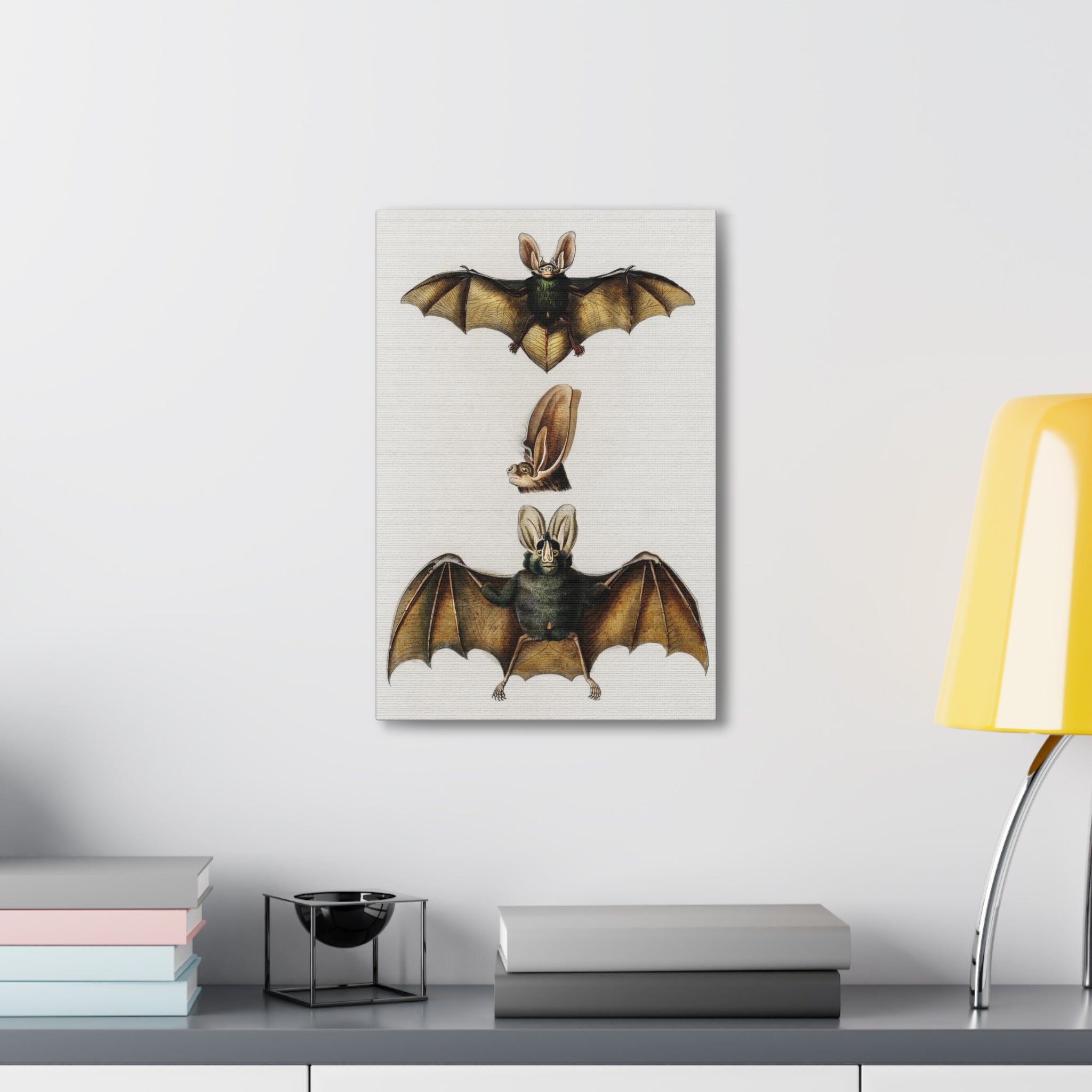 Plecotus Bat Art Print by Charles Dessalines - Stunning Canvas Wall Decor for Home, Office & Gifts | Wildlife Illustration | Nature-Inspired Decor