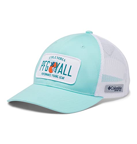 Gulf Stream/Fl License Plate
